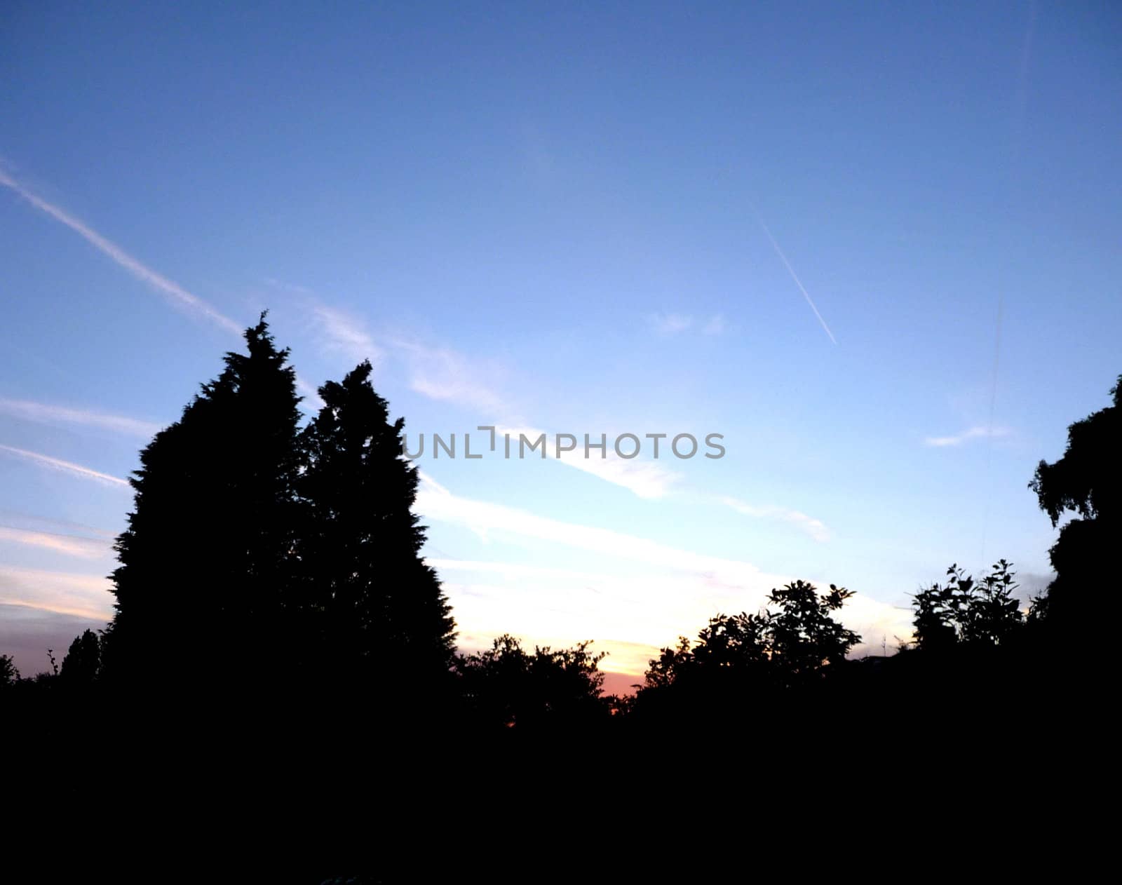 A view of the sky with a tree silhouette foreground.
