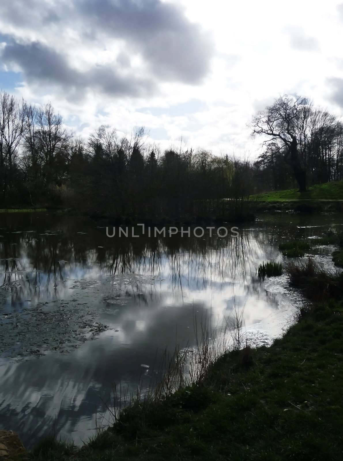 The view of the lakeside landscape in Lydiard Park.
