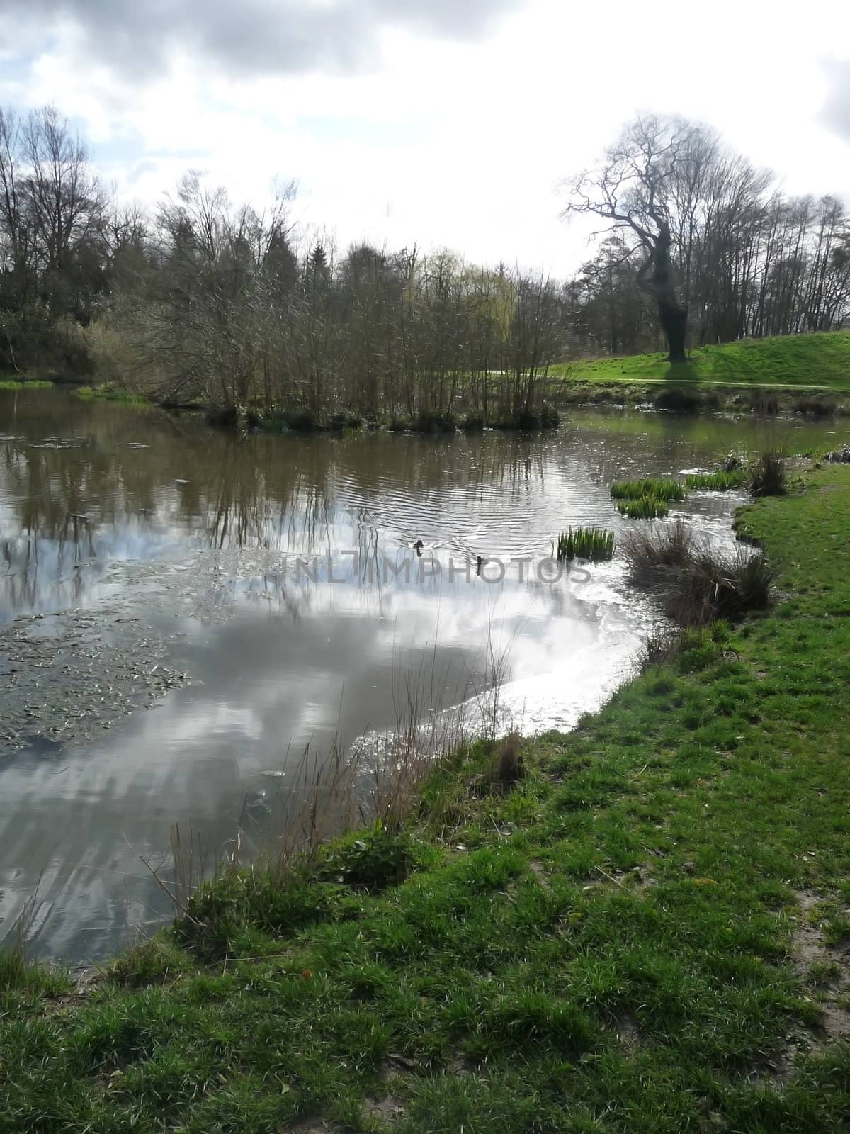 The view of the lakeside landscape in Lydiard Park.
