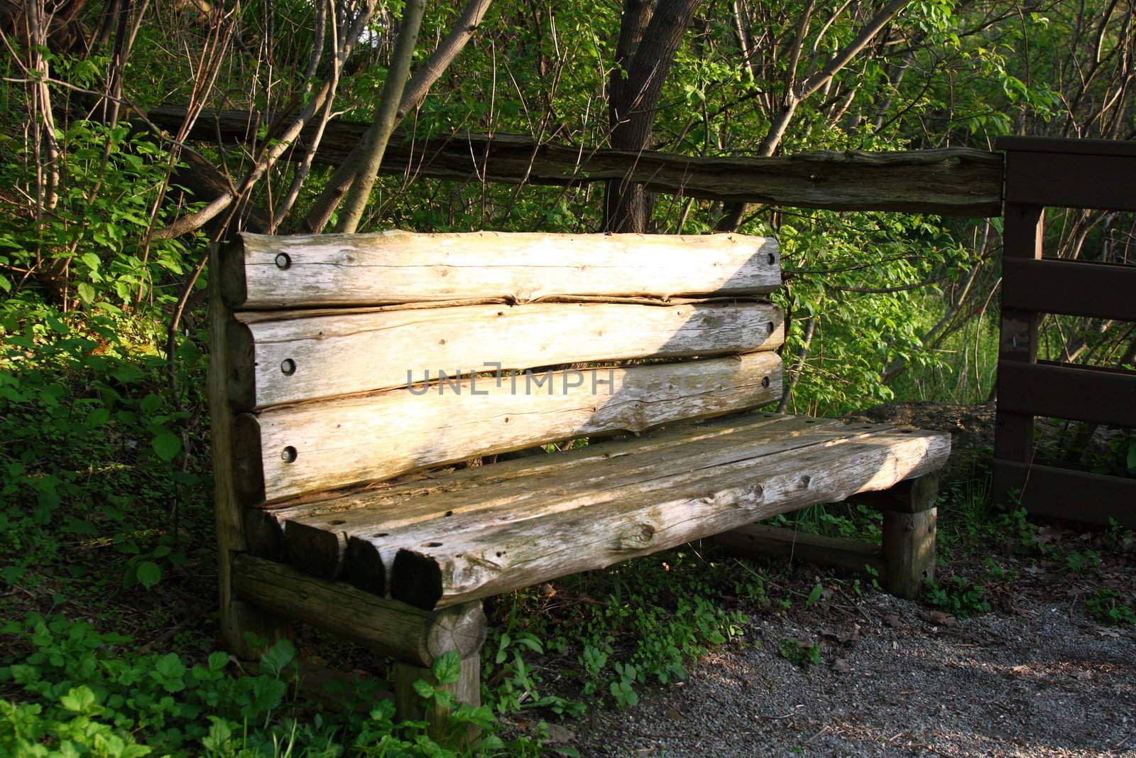 lonely empty park bench in forest afternoon