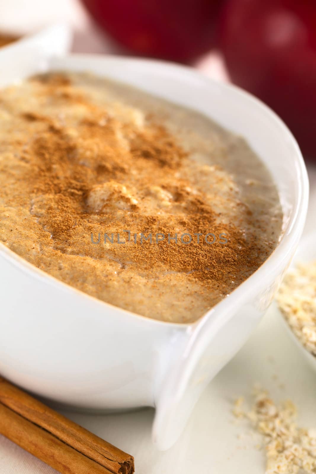 Porridge made of oatmeal and milk served with ground cinnamon (Selective Focus, Focus one third into the porridge)