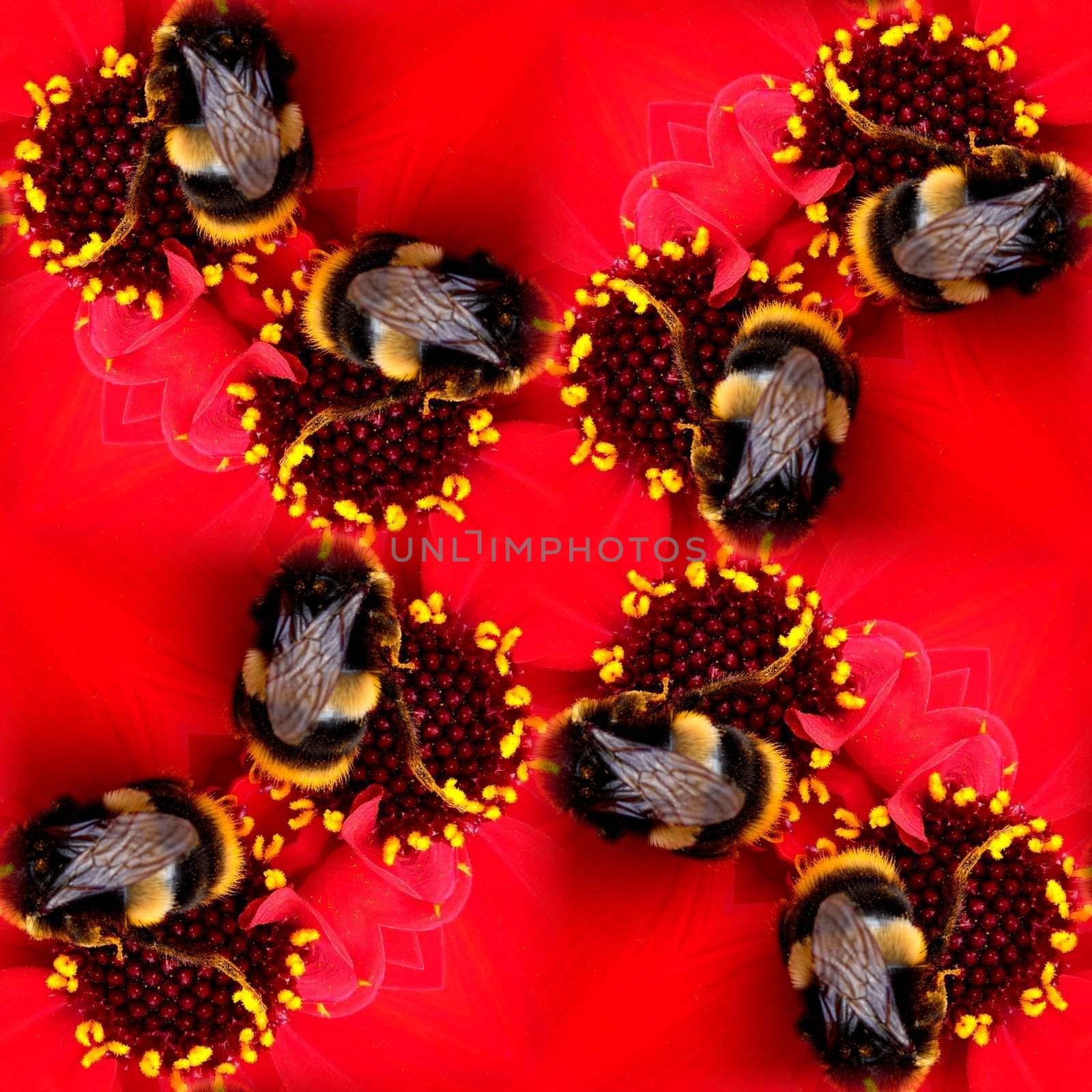 A seamless pattern made from a bee on a flower.
