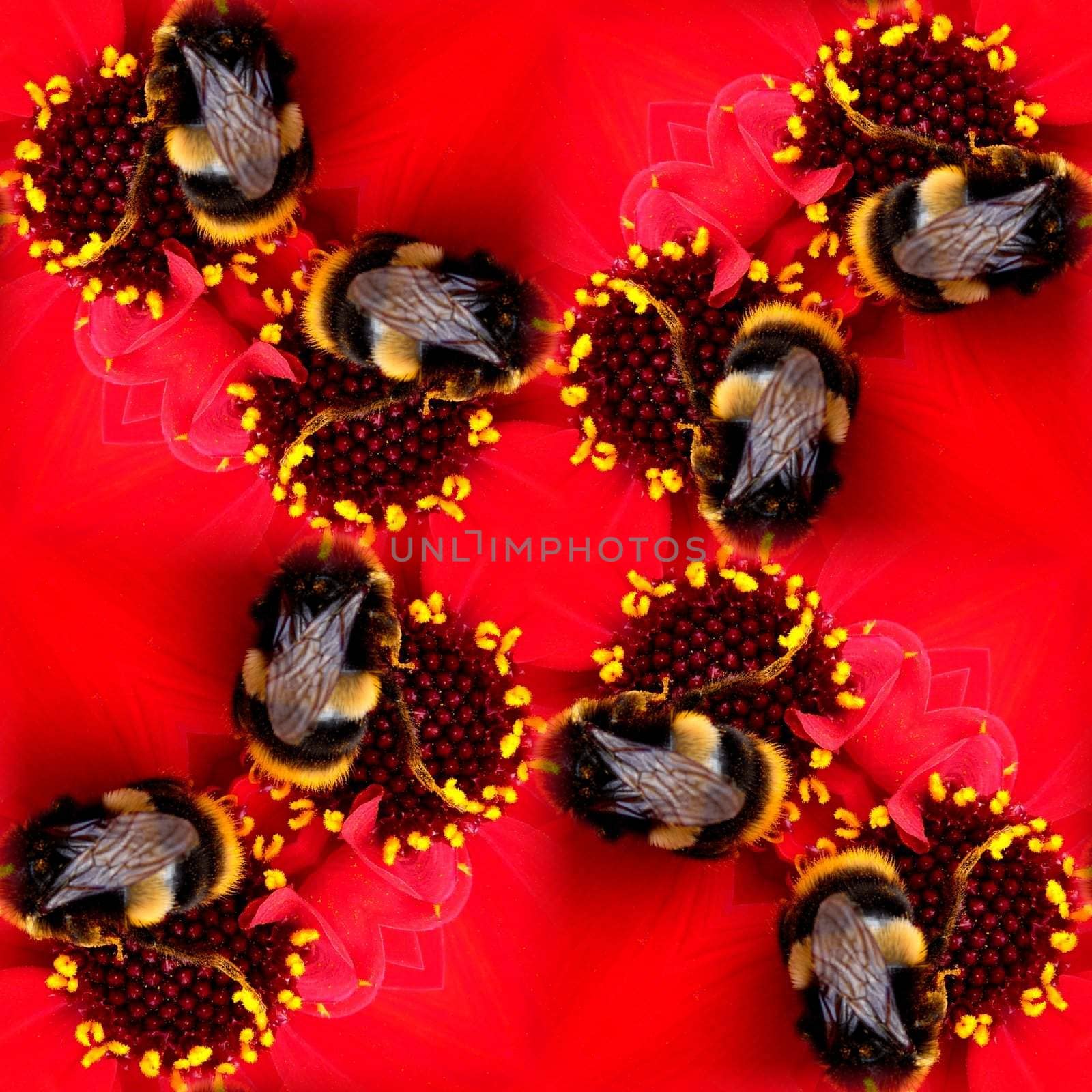 A seamless pattern made from a bee on a flower.
