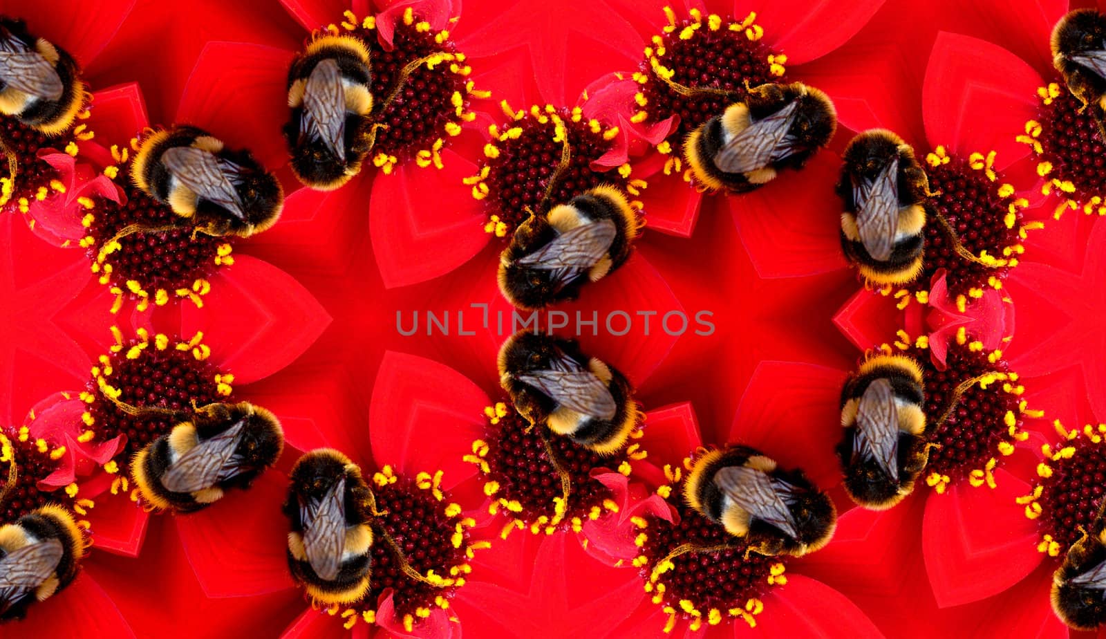 A seamless pattern made from a bee on a flower.

