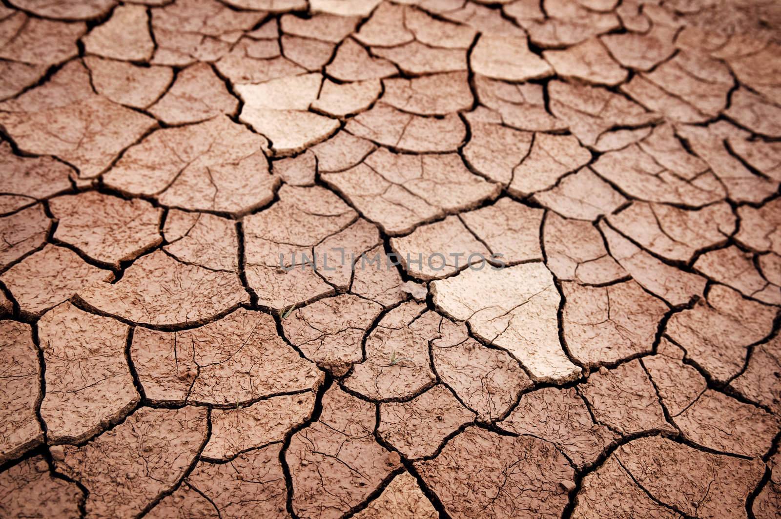 Detail of dry cracked earth