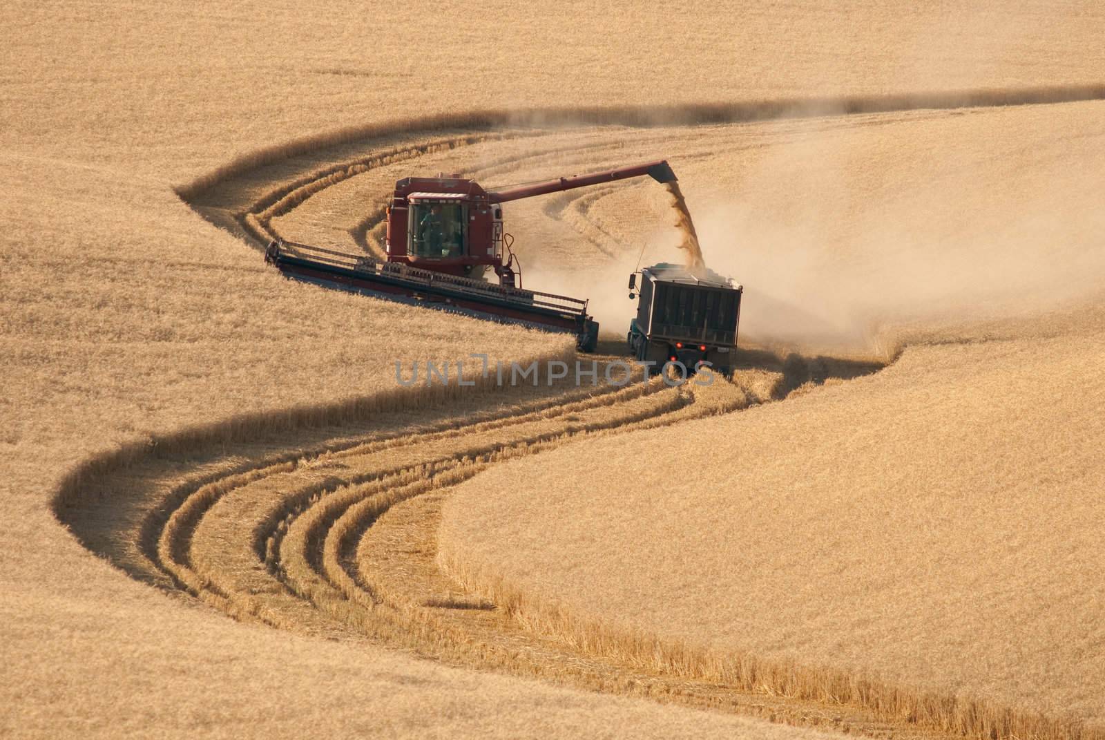 Combine harvester and farm truck harvesting wheat, Whitman County, Washington, USA by CharlesBolin