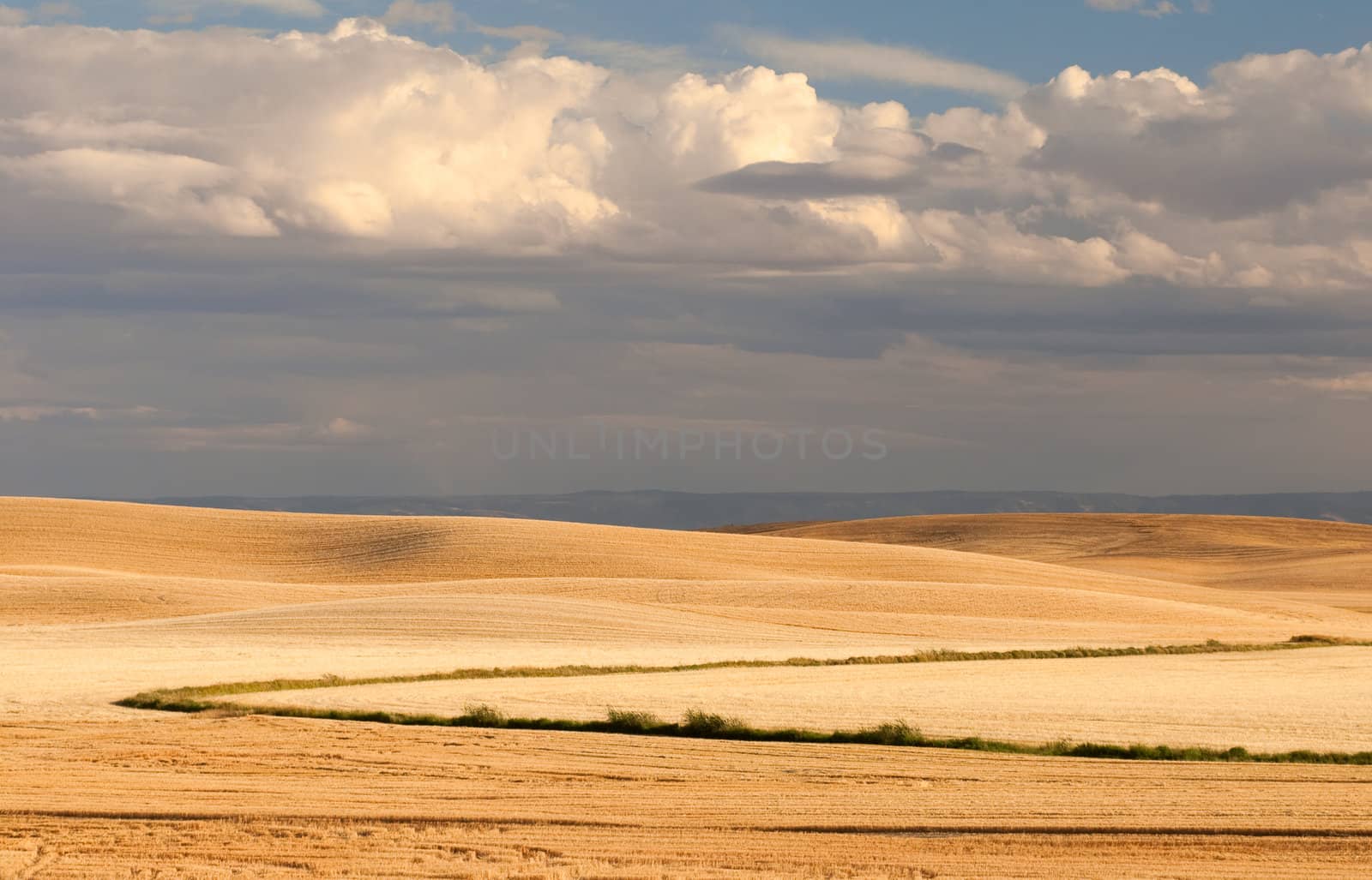 Rolling hills and clouds near Genessee, Latah County, Idaho, USA by CharlesBolin