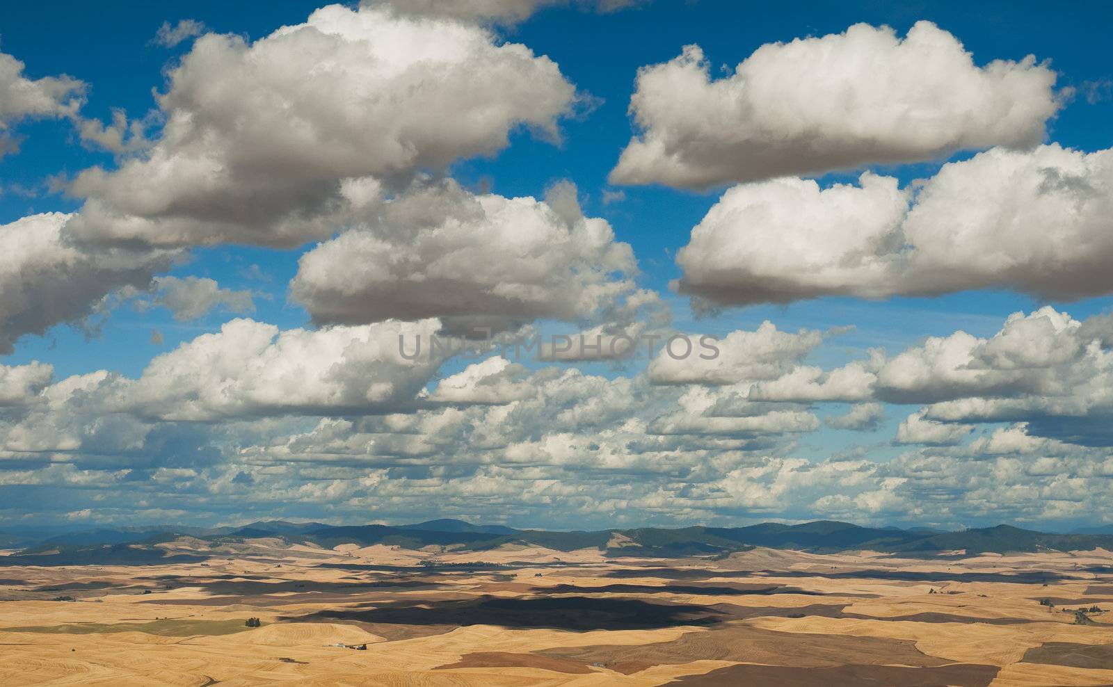 Puffy clouds, rolling hills and mountains, Whitman County, Washington and Latah County, Idaho by CharlesBolin