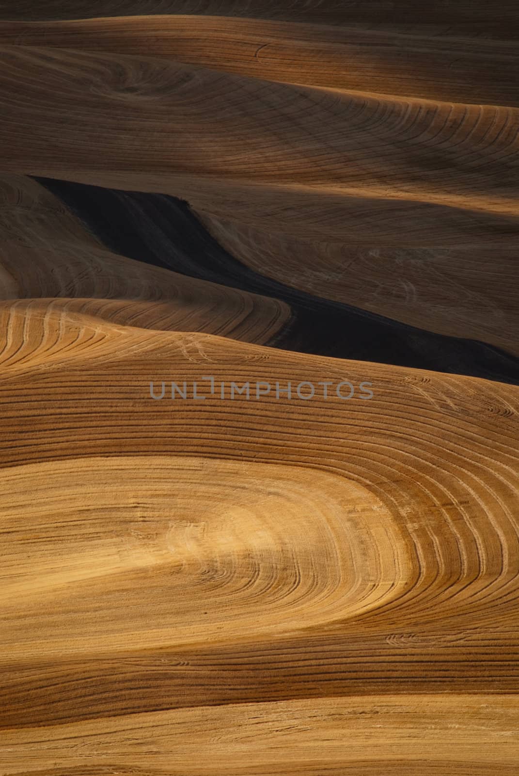 Light and shadow on rolling fields after harvest, Whitman County, Washington, USA by CharlesBolin