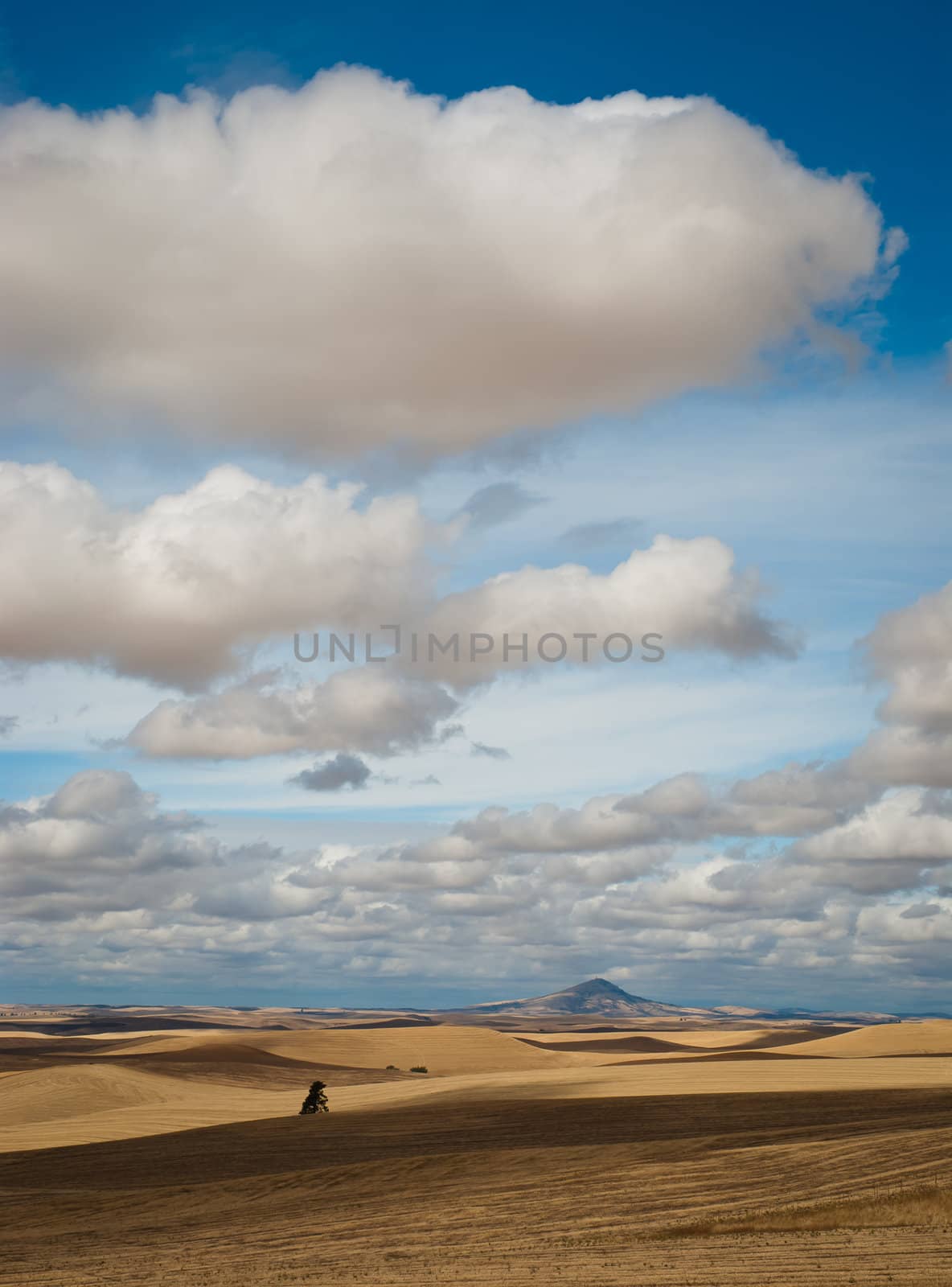 Rolling hills, Steptoe Butte and clouds, Whitman County, Washington, USA by CharlesBolin