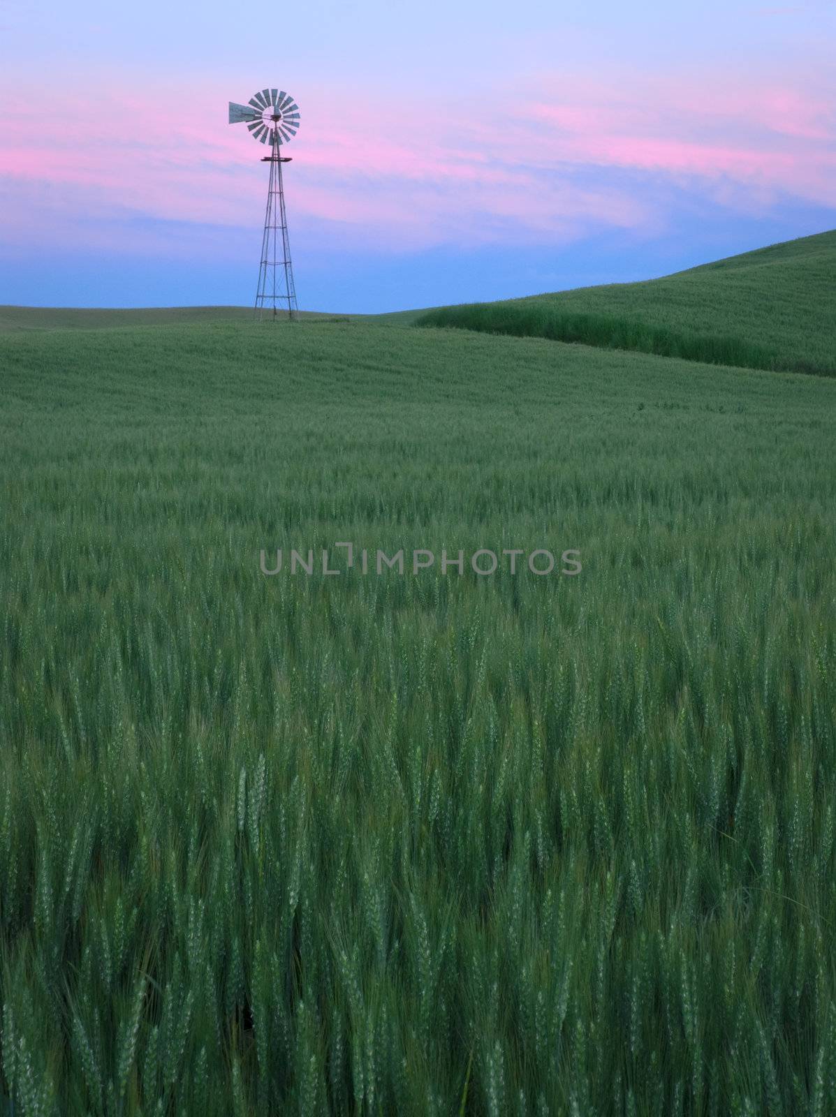 Windmill, wheat and clouds at twilight, Whitman County, Washington, USA by CharlesBolin
