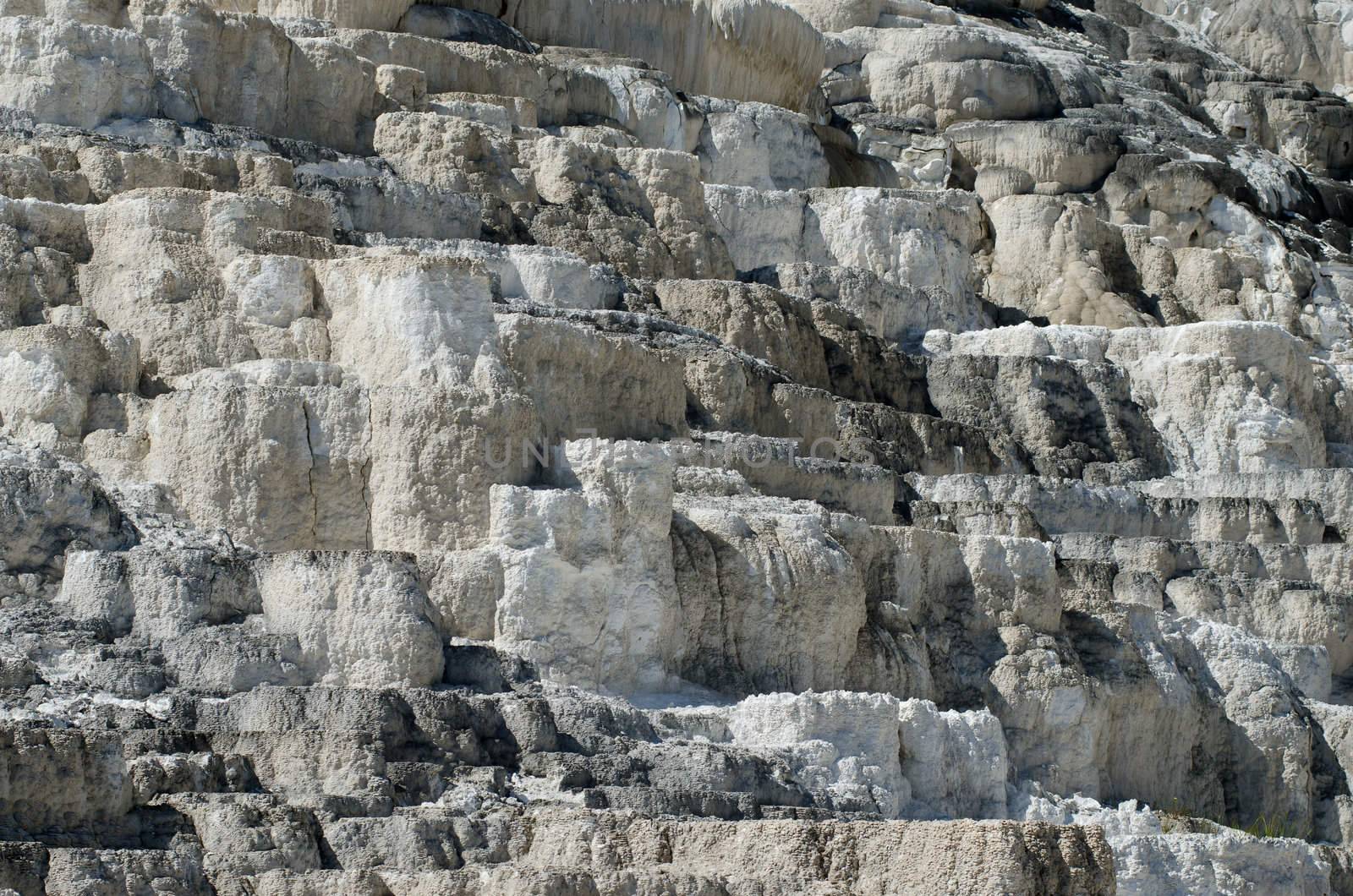Travertine (limestone) terraces of Minerva Terrace during dormant period, Yellowstone National Park, Park County, Wyoming, USA by CharlesBolin