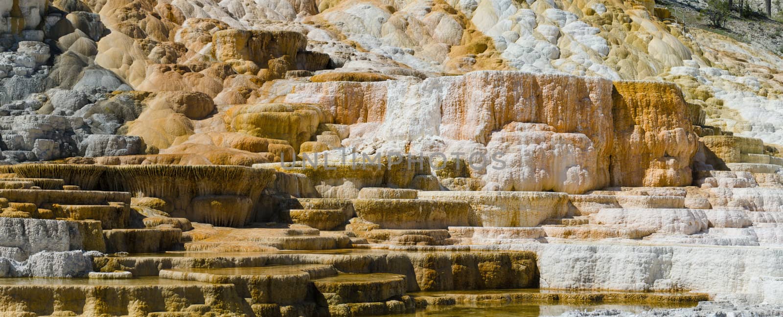 Panorama of travertine (limestone) terraces, Palette Springs, Yellowstone National Park, Wyoming, USA by CharlesBolin