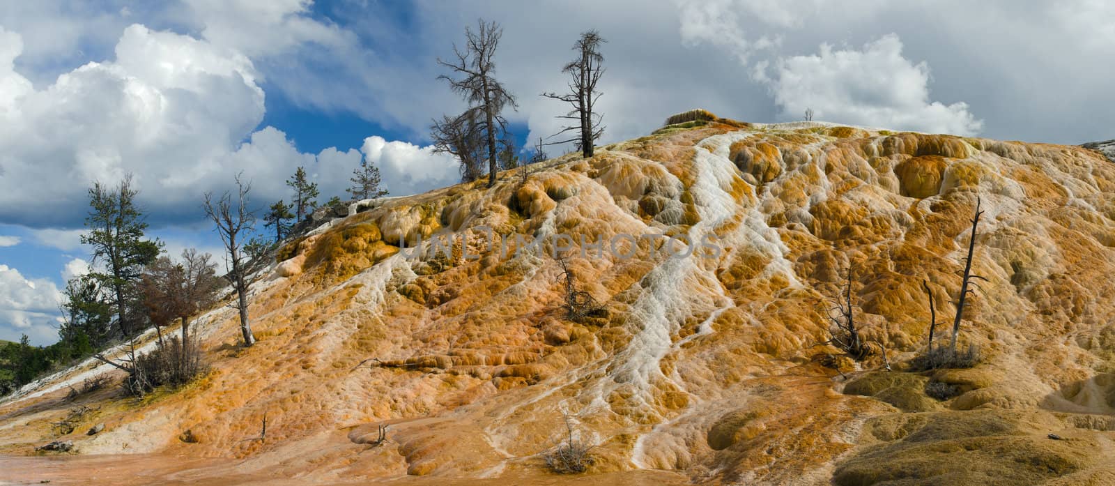 Panorama of travertine (limestone) mound formed by mineral deposition from hot springs, Palette Springs, Yellowstone National Park, Wyoming, USA by CharlesBolin
