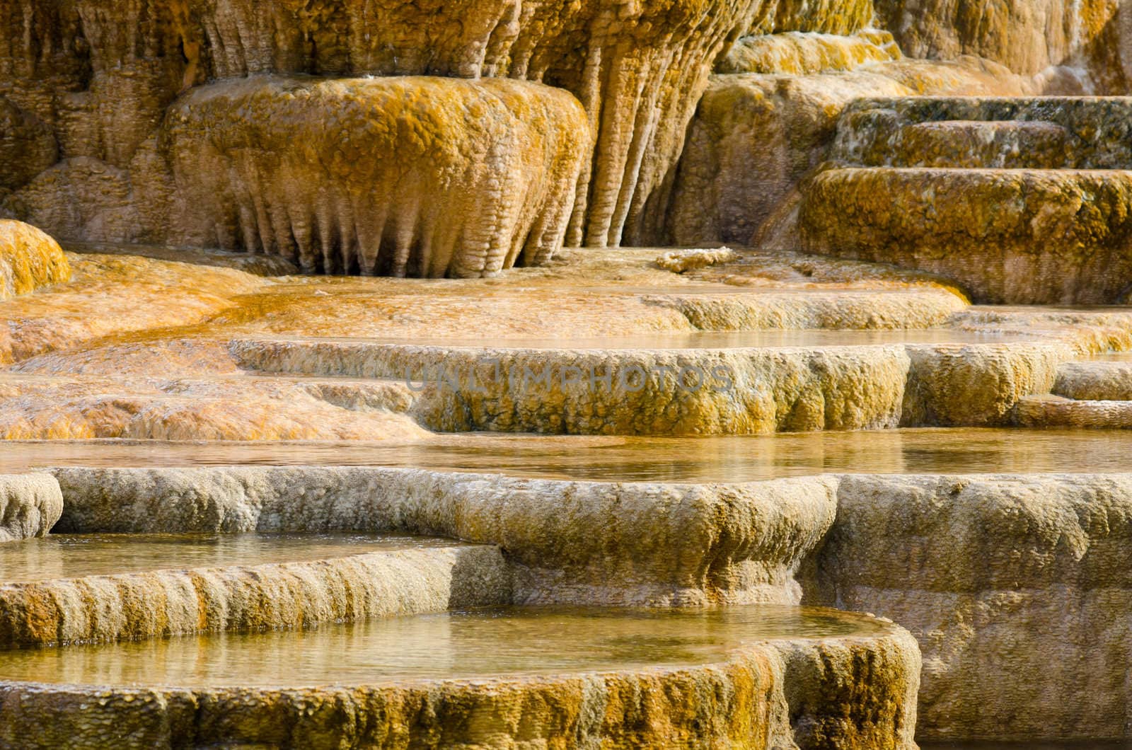 Travertine (limestone) terraces, Palette Springs, Yellowstone National Park, Wyoming, USA by CharlesBolin