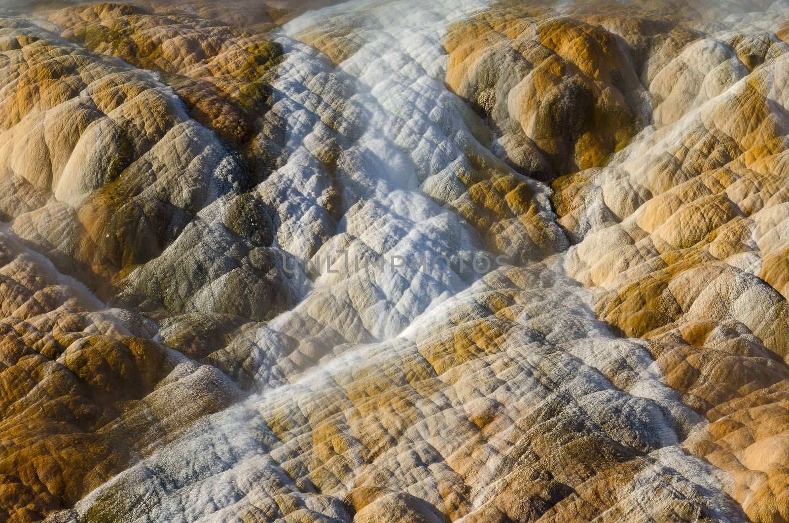 Detail of limestone and small streams of mineral rich water, Palette Springs, Mammoth Hot Springs, Yellowstone National Park, Park County, Wyoming, USA