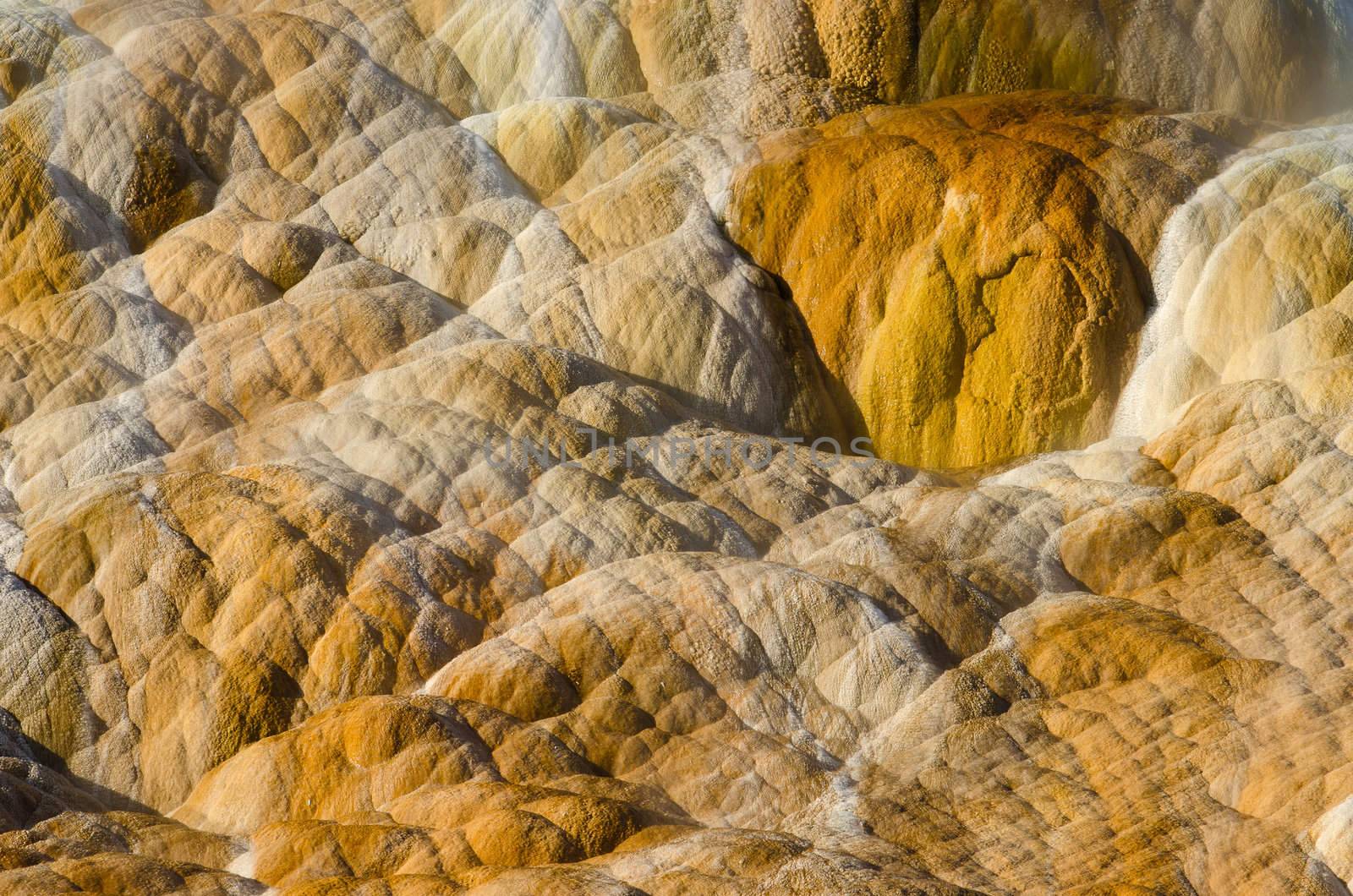 Detail of limestone and small streams of mineral rich water, Palette Springs, Mammoth Hot Springs, Yellowstone National Park, Park County, Wyoming, USA by CharlesBolin