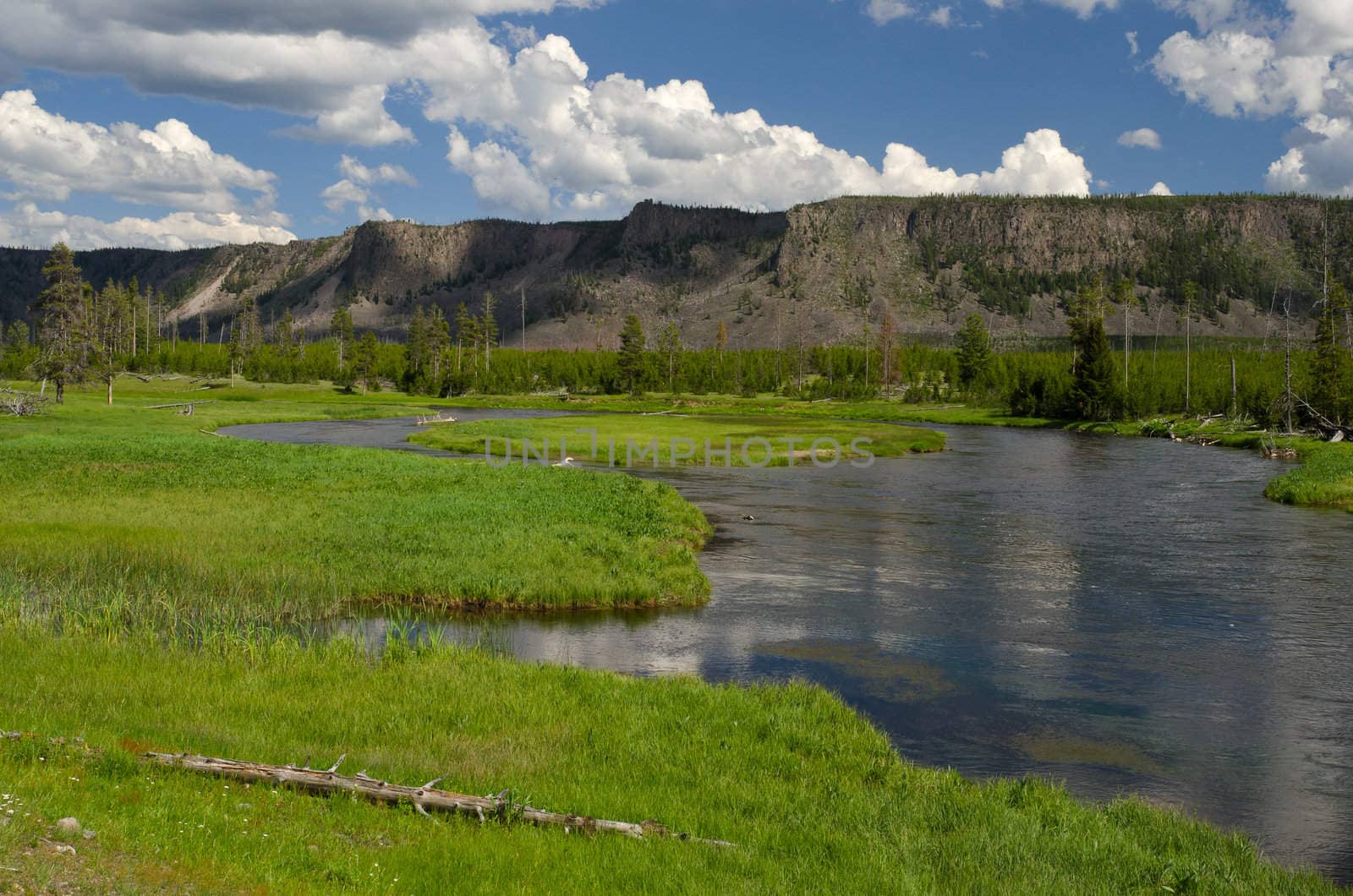 The Madison River, Yellowstone National Park, Park County, Wyoming, USA by CharlesBolin