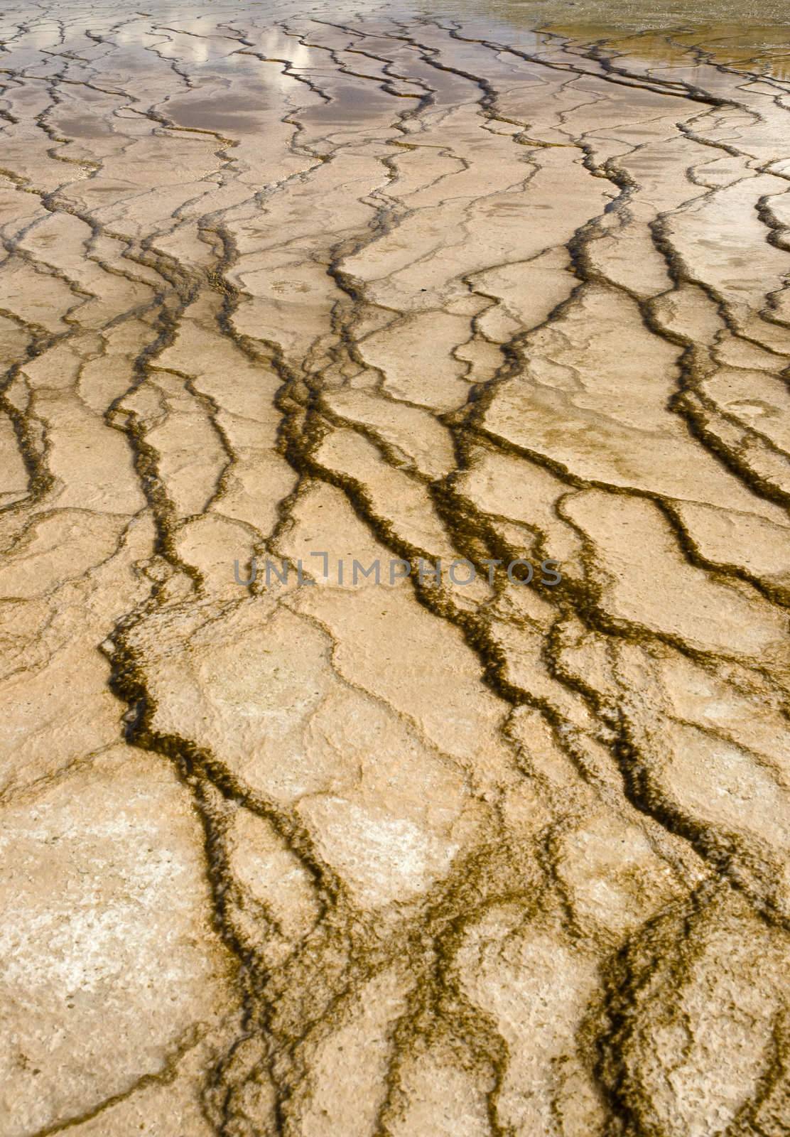 Geyserite patterns, Grand Prismatic Spring, Yellowstone National Park, Park County, Wyoming, USA by CharlesBolin