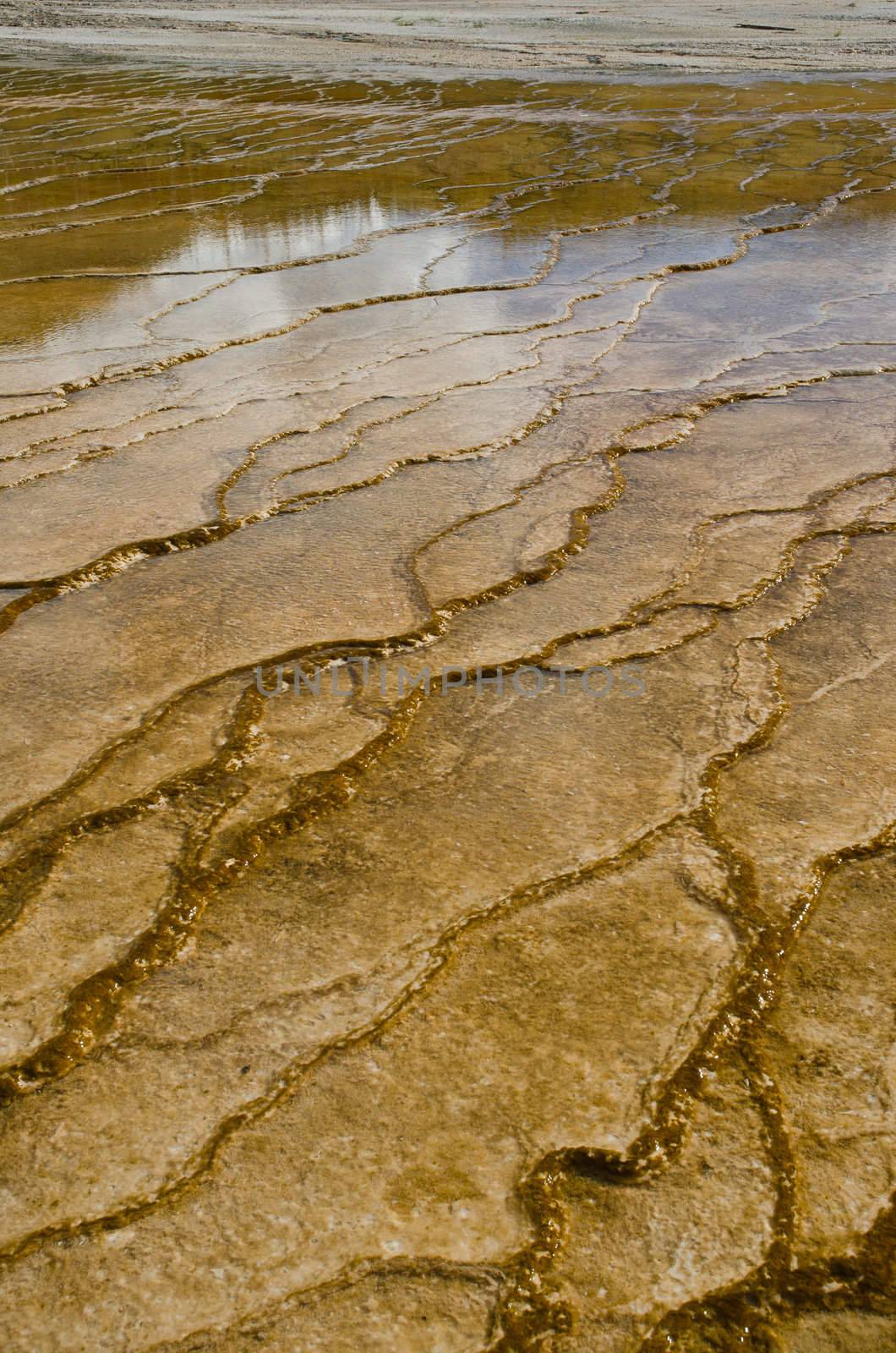 Geyserite patterns, Grand Prismatic Spring, Yellowstone National Park, Park County, Wyoming, USA by CharlesBolin