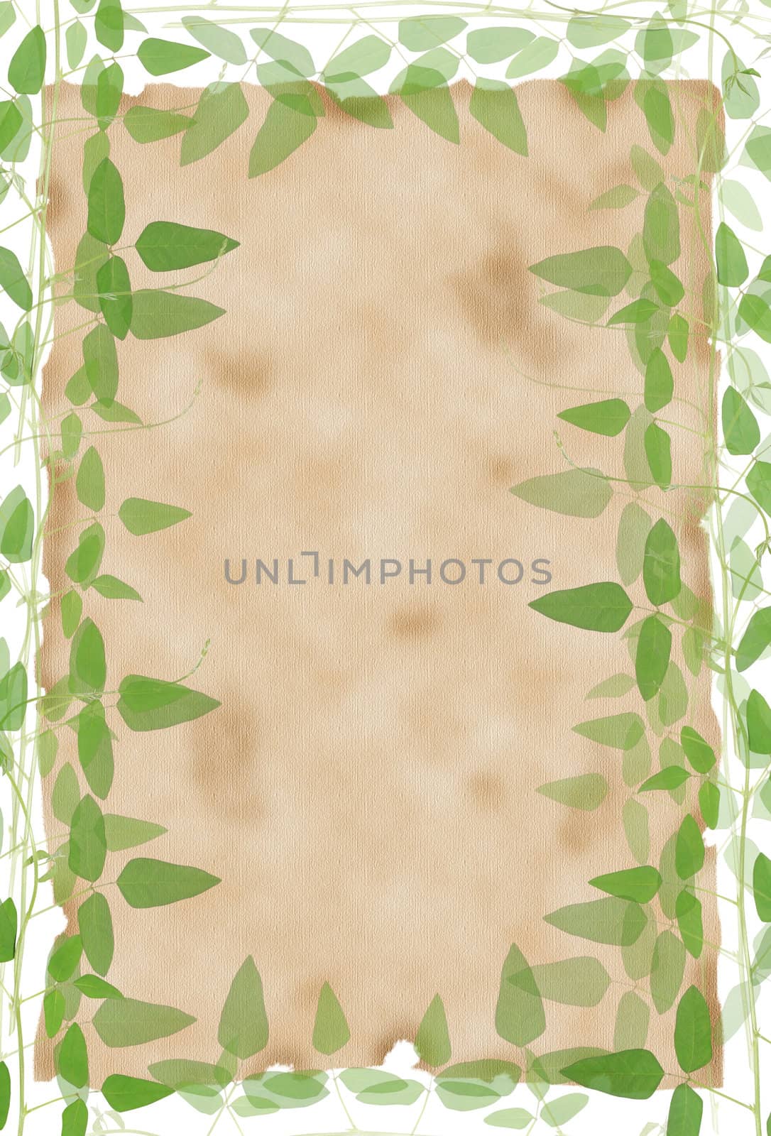 Lined paper framed by natural green leaves background