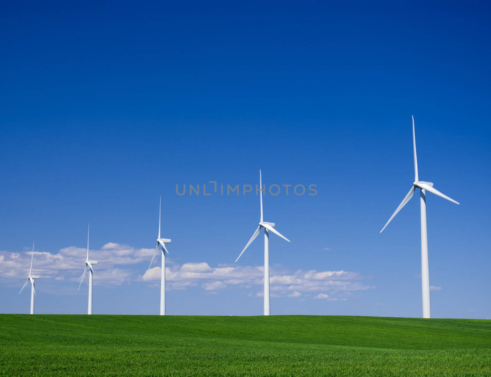 Wind turbines, green wheat fields, clouds and blue sky in spring, Klondike Wind Farm, Sherman County, Oregon, USA