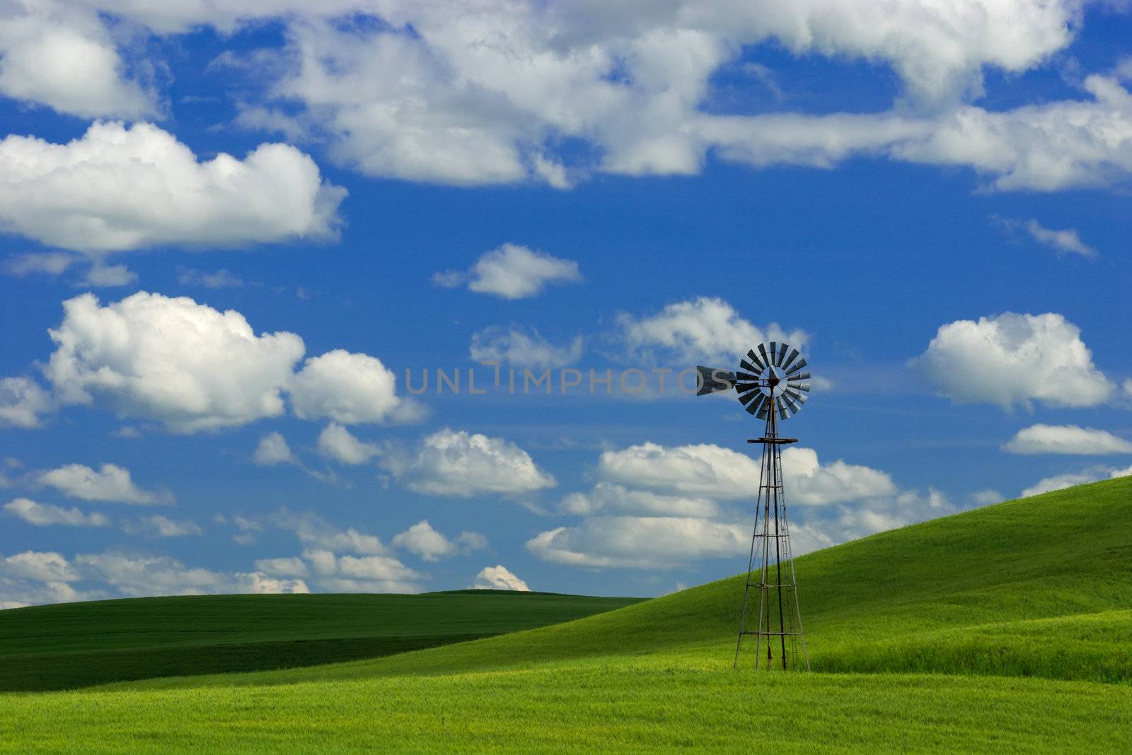 An old windmill, green wheat fields, cloud shadows and puffy clouds, Whitman County, Washington, USA