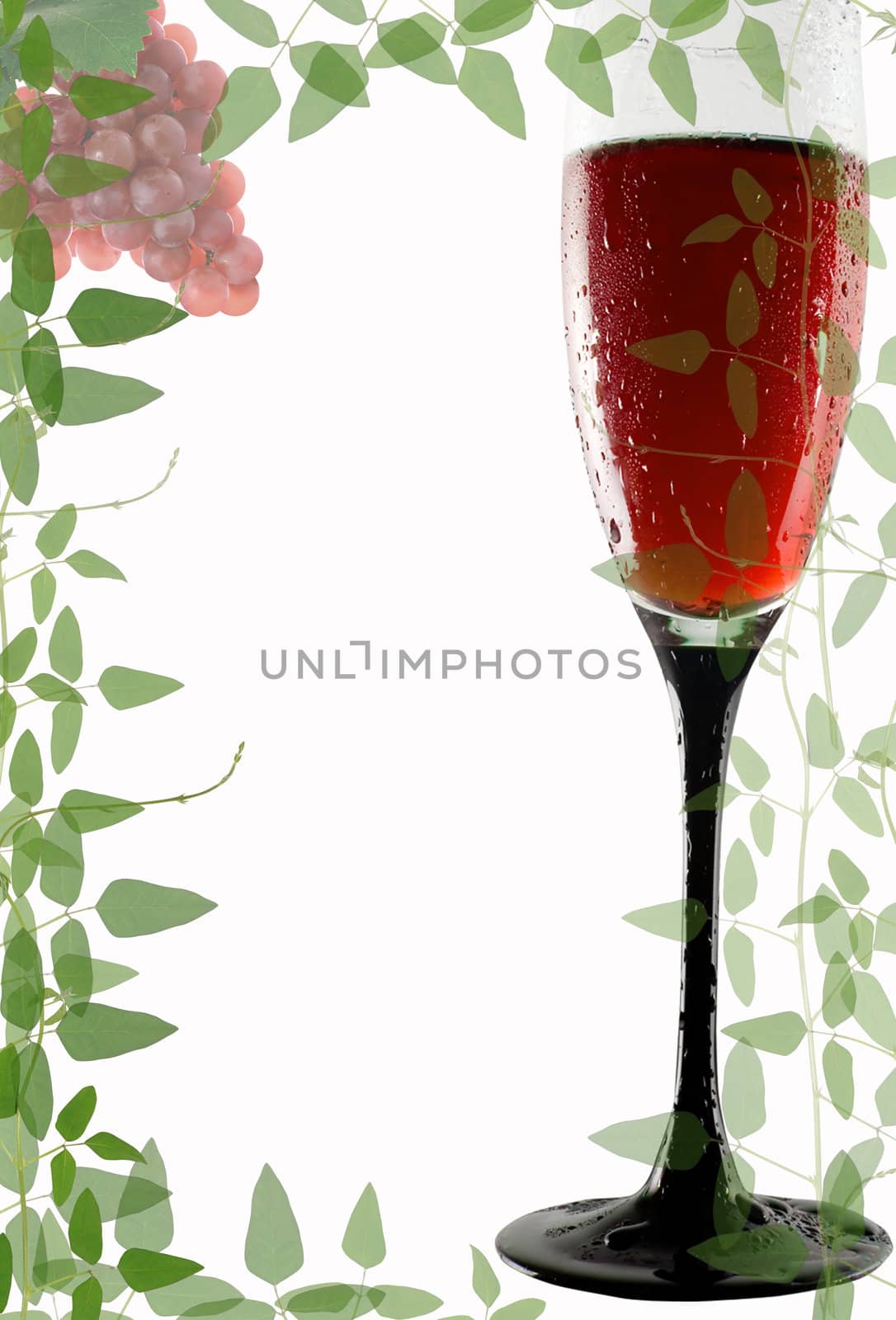 Framework paper with leaves and wine by rufous