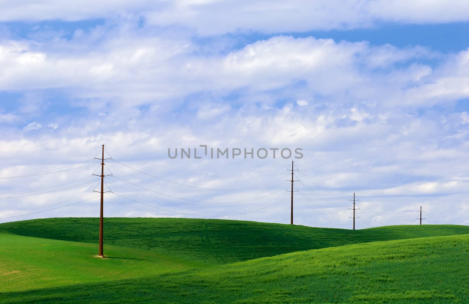 Powerlines, clouds and wheat, Whitman County, Washington, USA