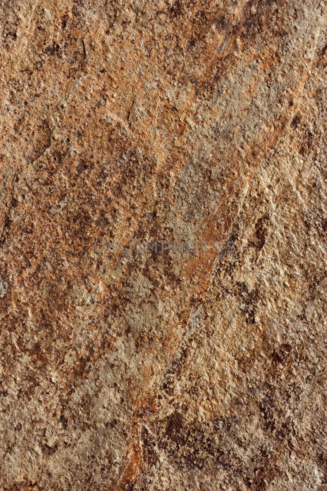 surface of the stone in shades of brown