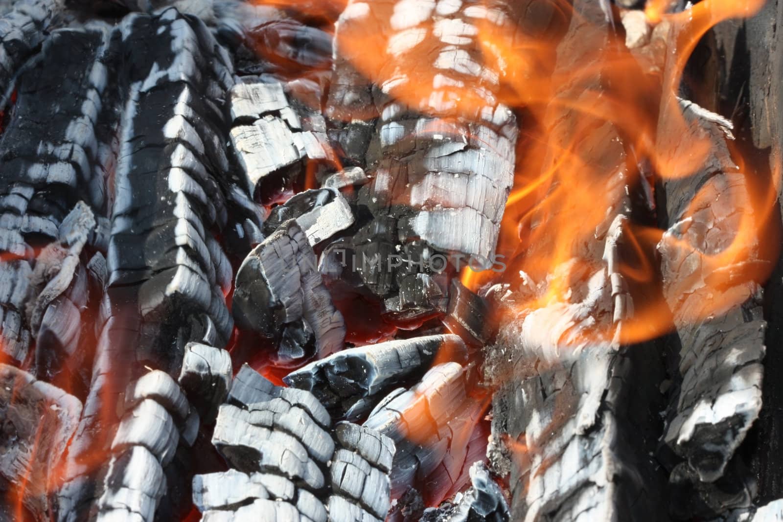 burning wood is left after the combustion of black coal