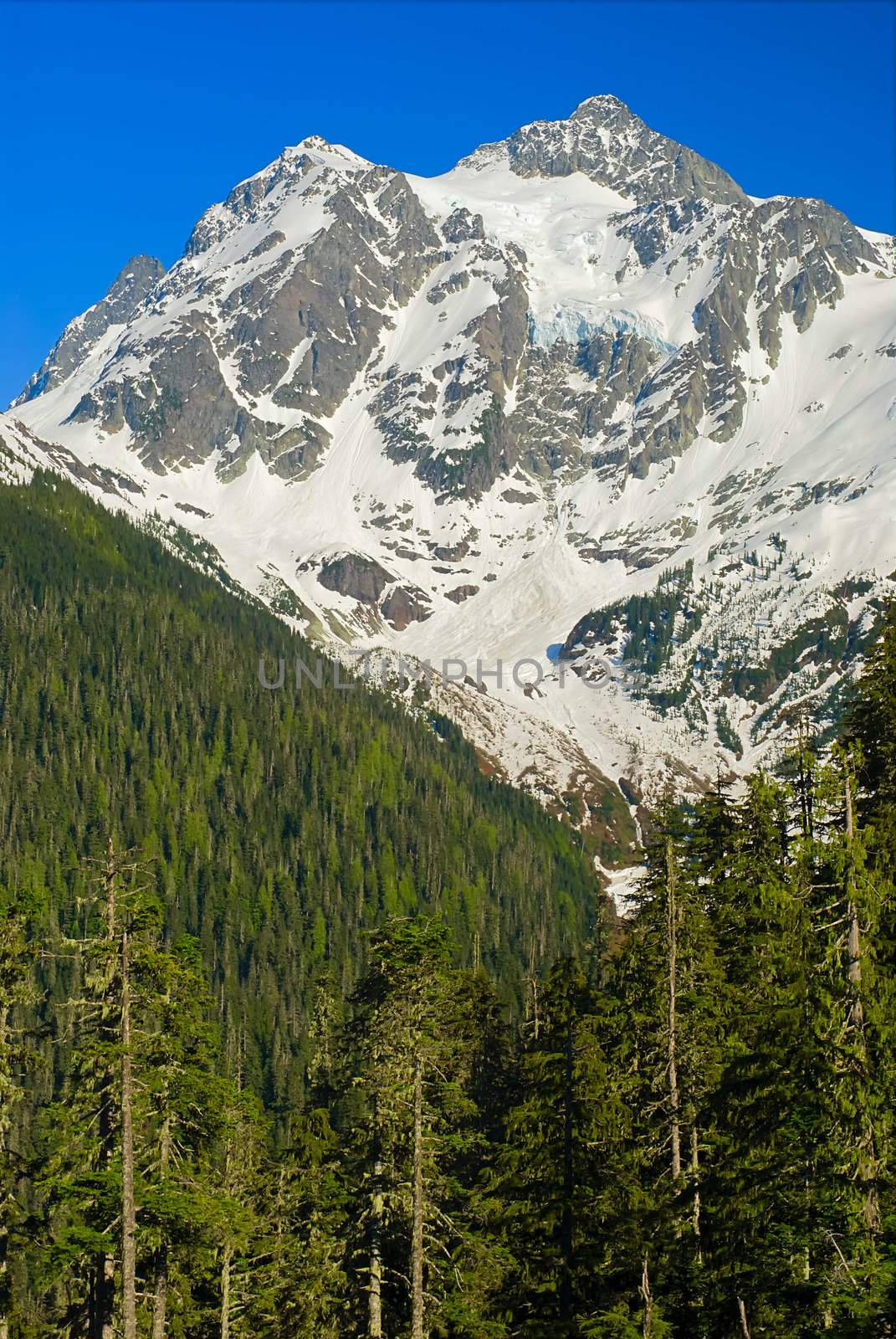 Mt. Shuksan, North Cascades National Park, Washington, USA by CharlesBolin