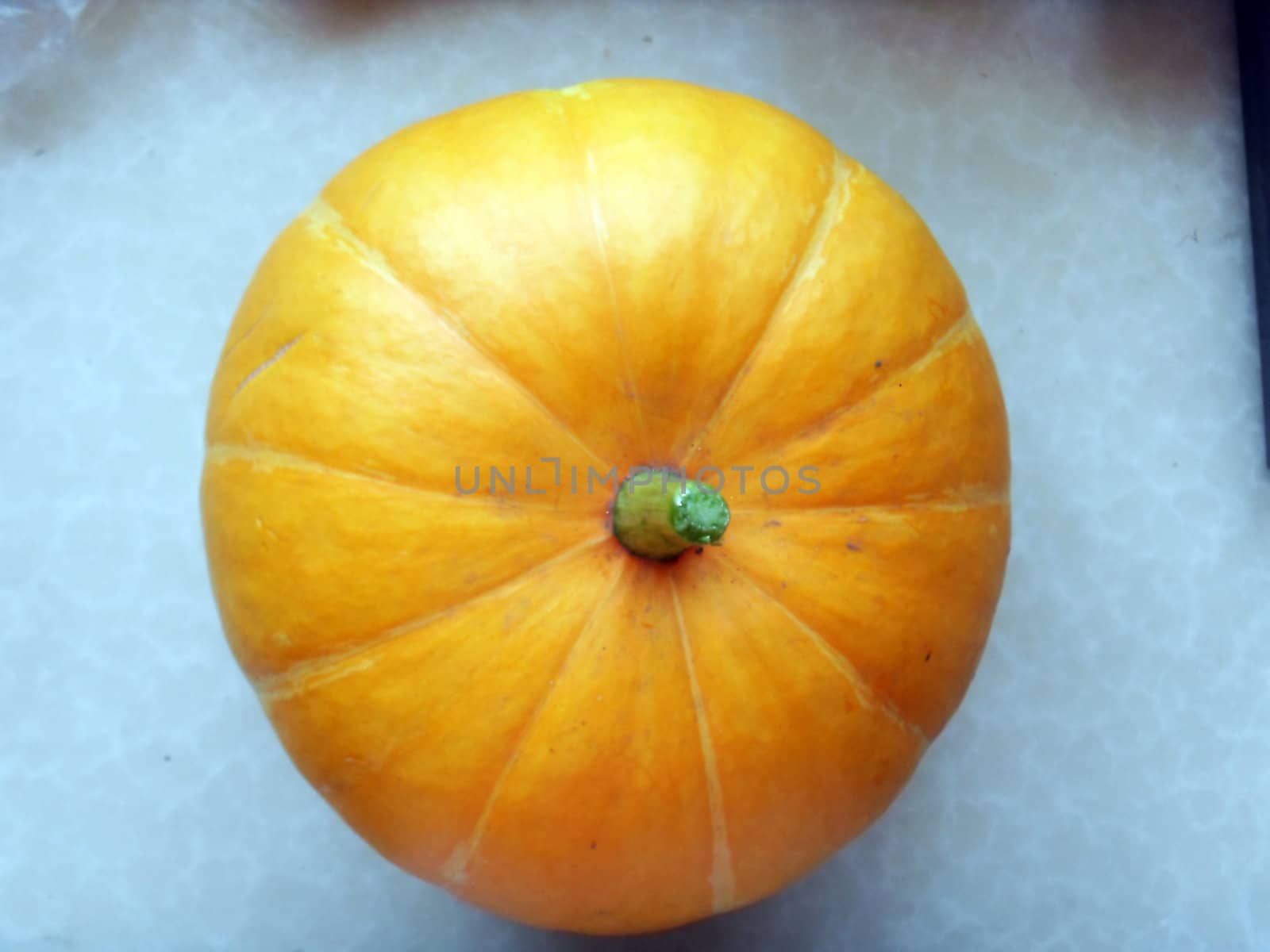 pumpkin
