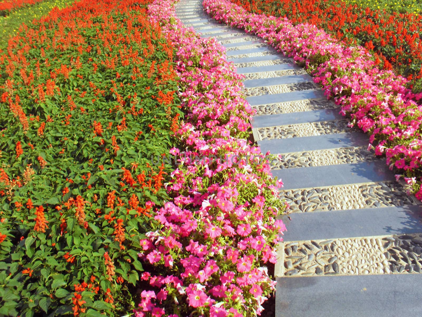 flower road,