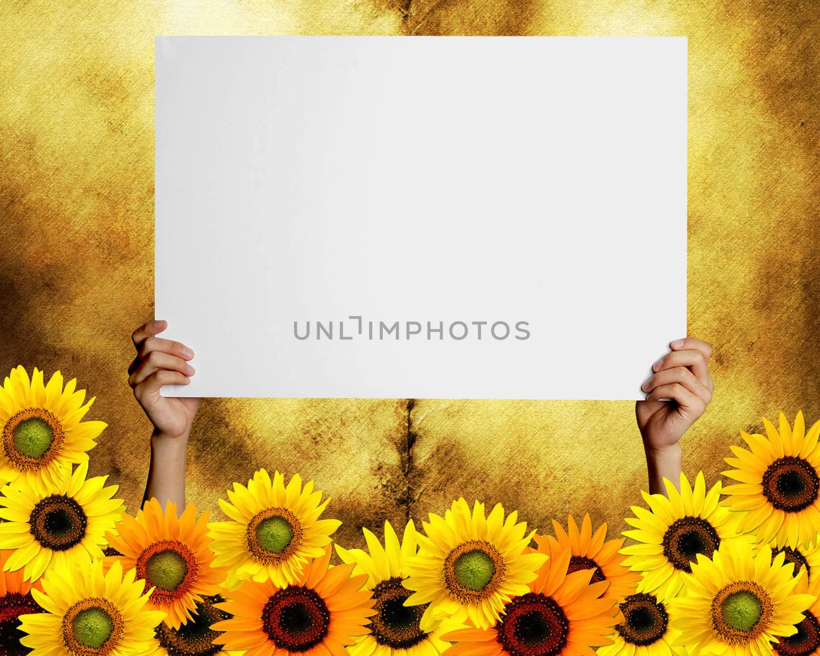 card with space for text and sunflowers