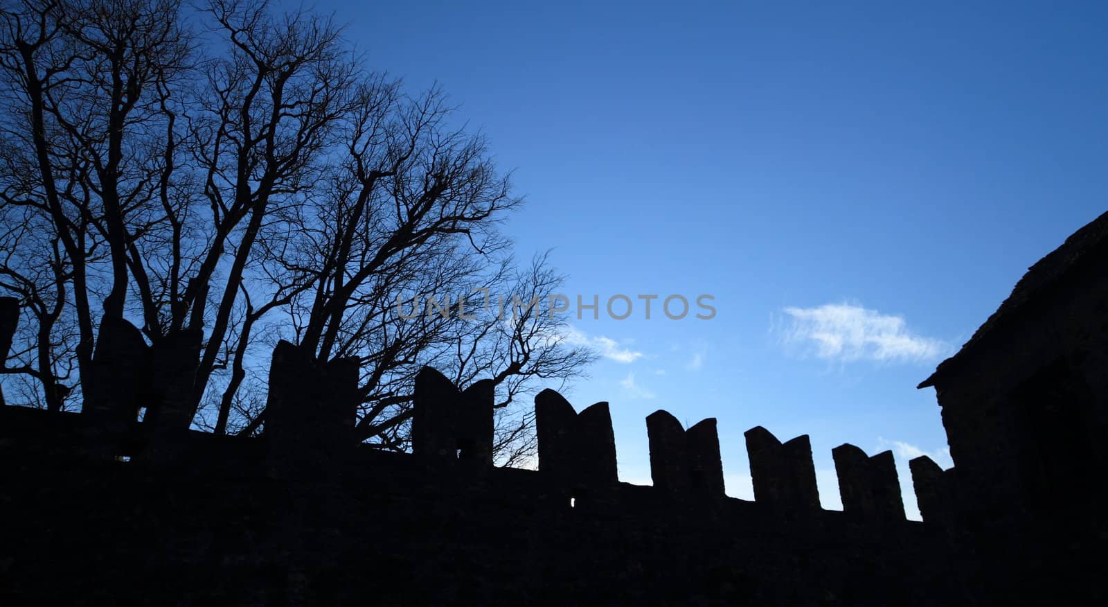 Bellinzona Castle