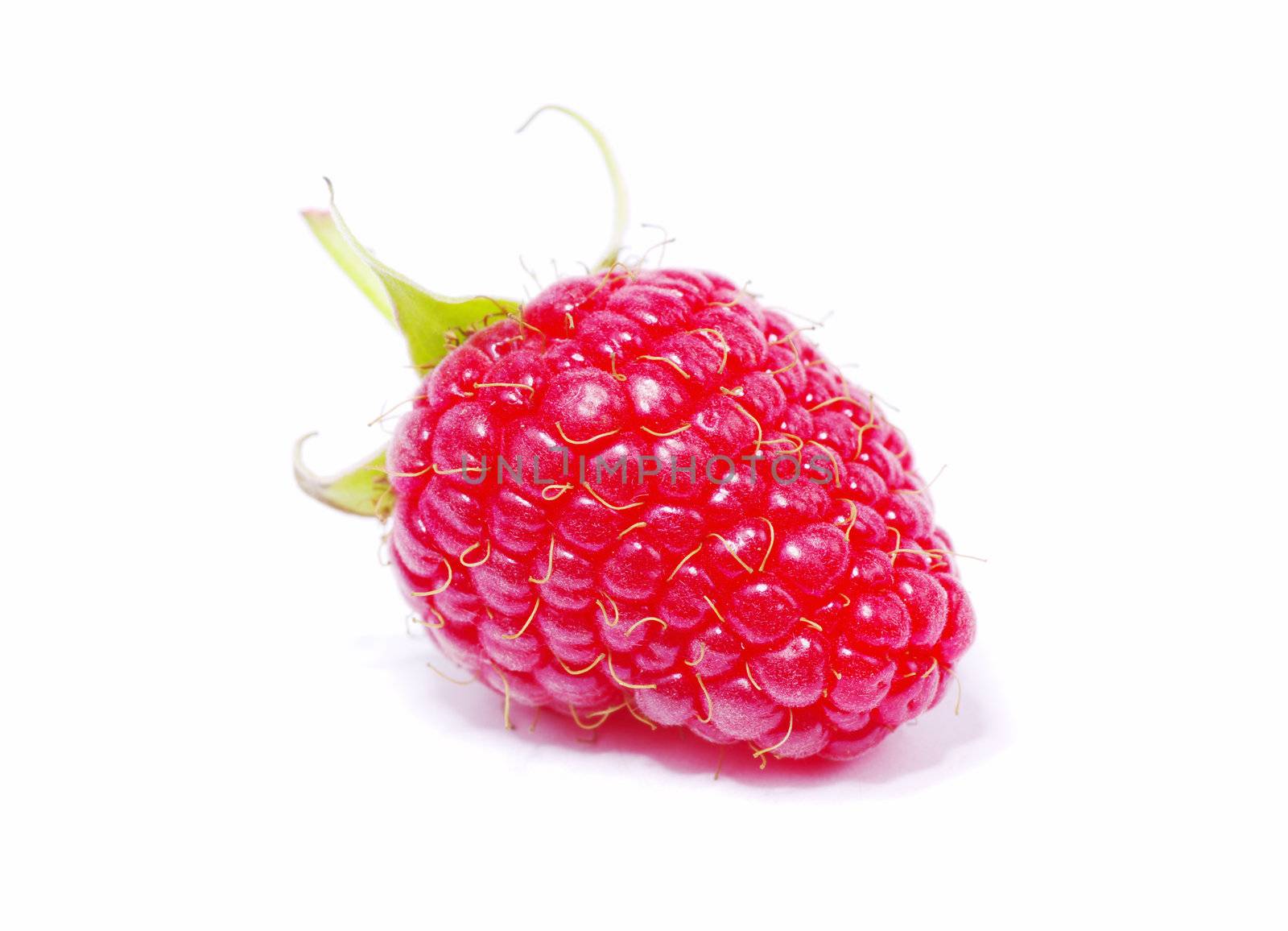 fresh raspberry closeup isolated on white background