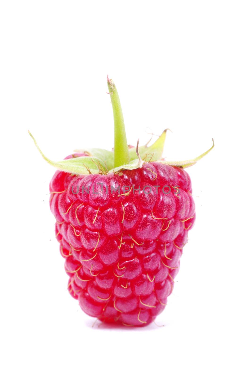  raspberry closeup isolated on white background