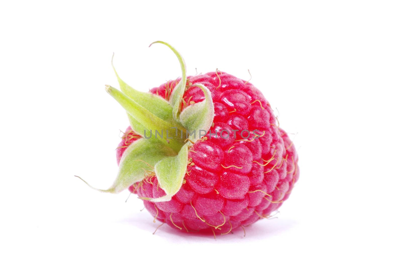 Ripe raspberry isolated on a white background