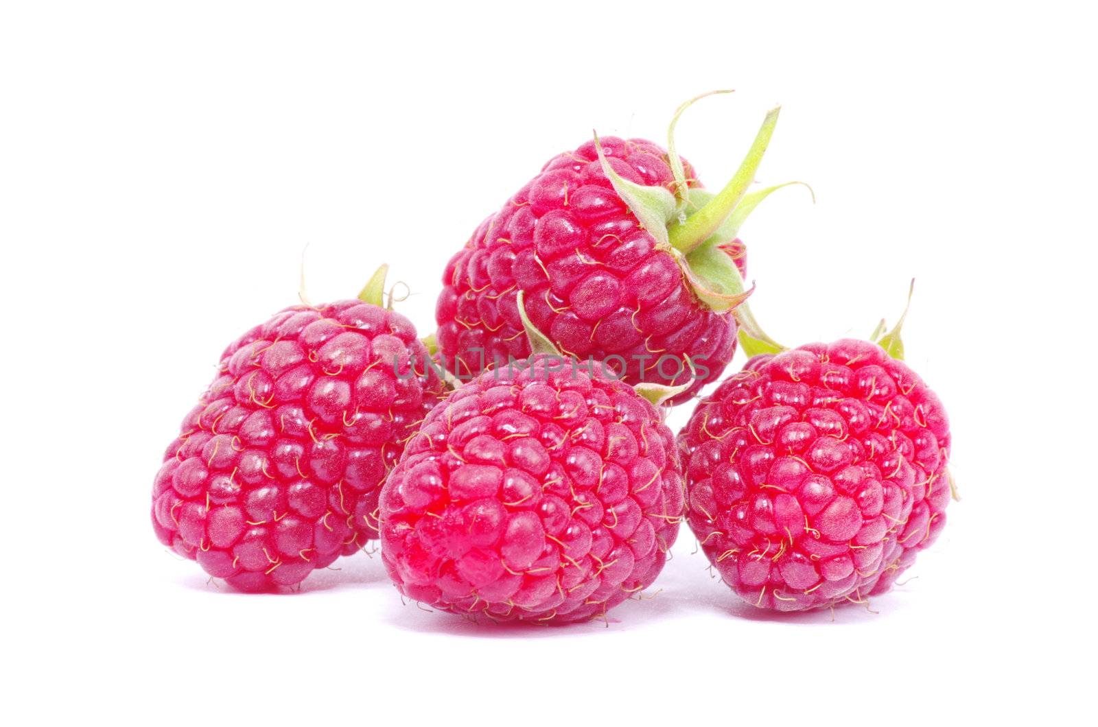 fresh raspberry closeup isolated on white background