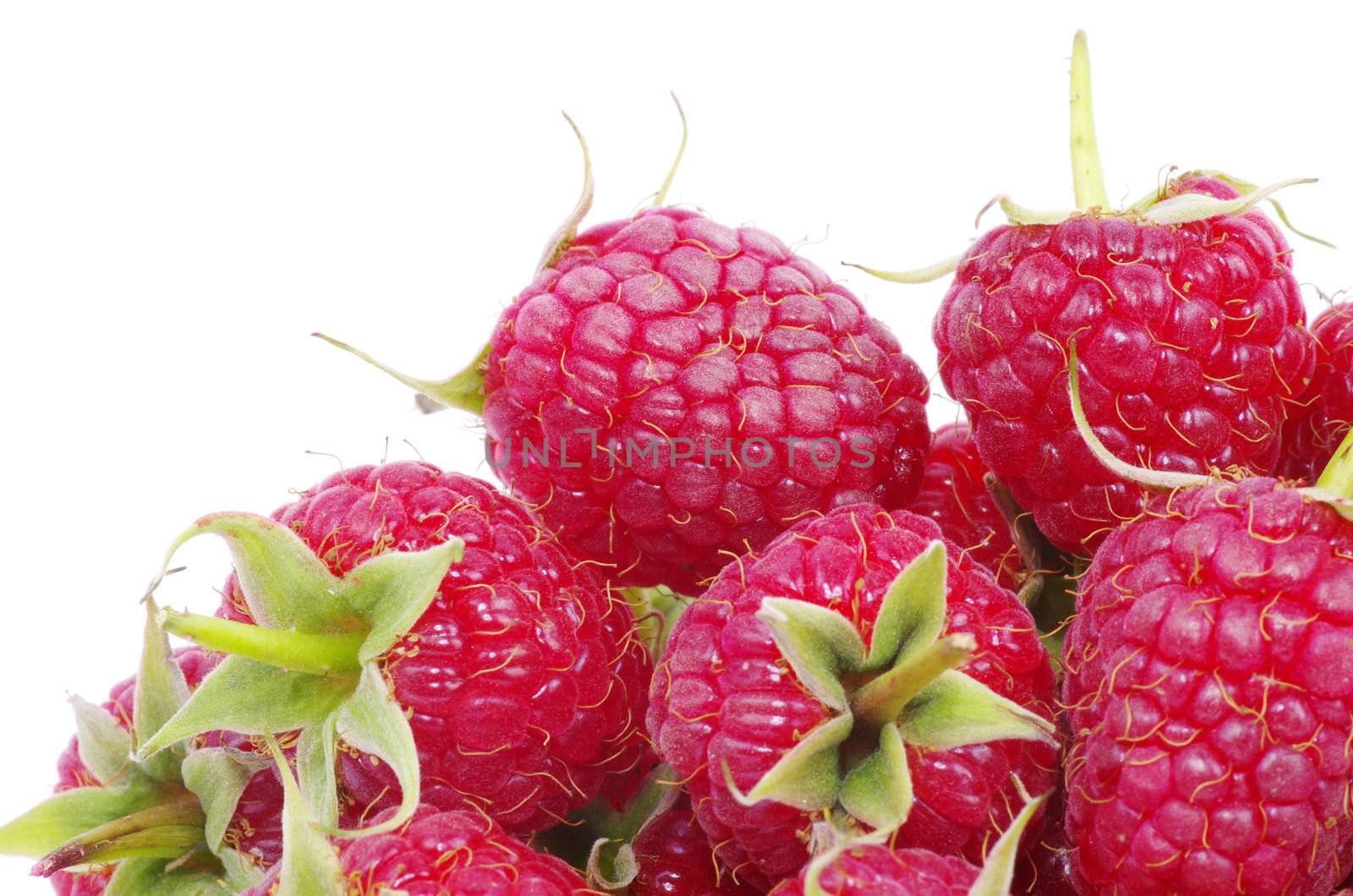  raspberry closeup isolated on white background
