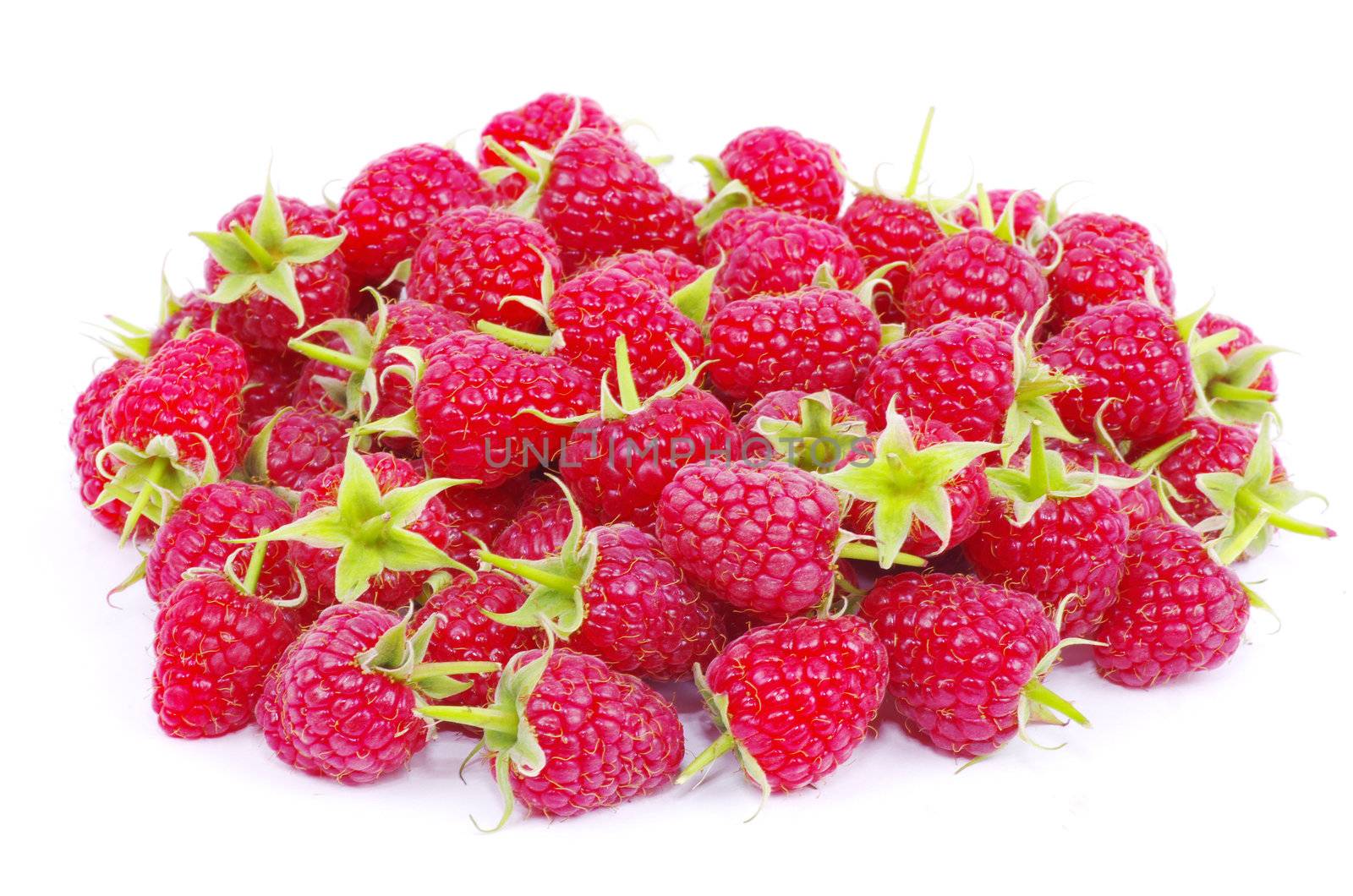 fresh raspberry closeup isolated on white background