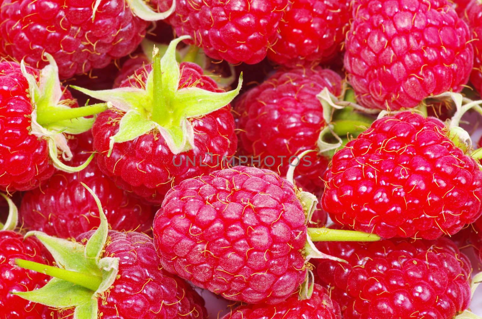 sweet fresh raspberry close up