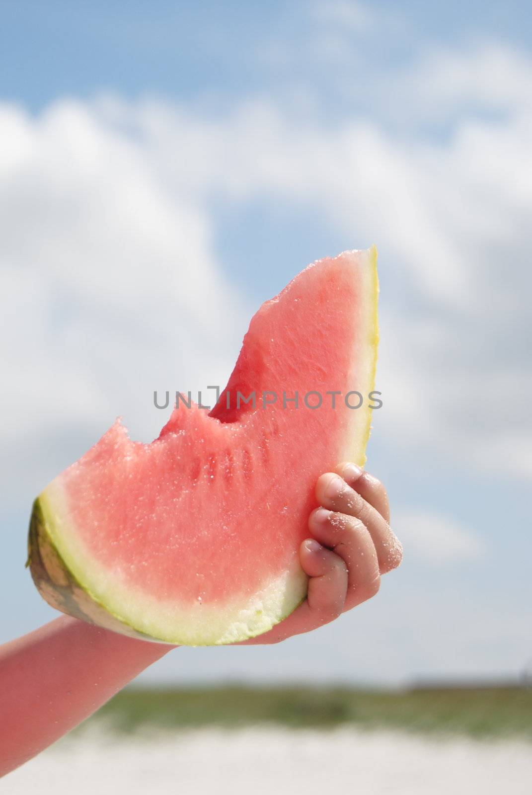 hand holding watermelon on beach