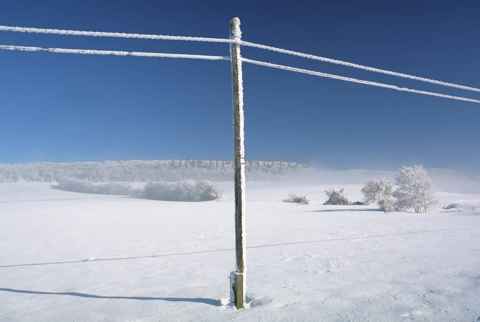 Winter lanscape with snowy telephone lines by bugno