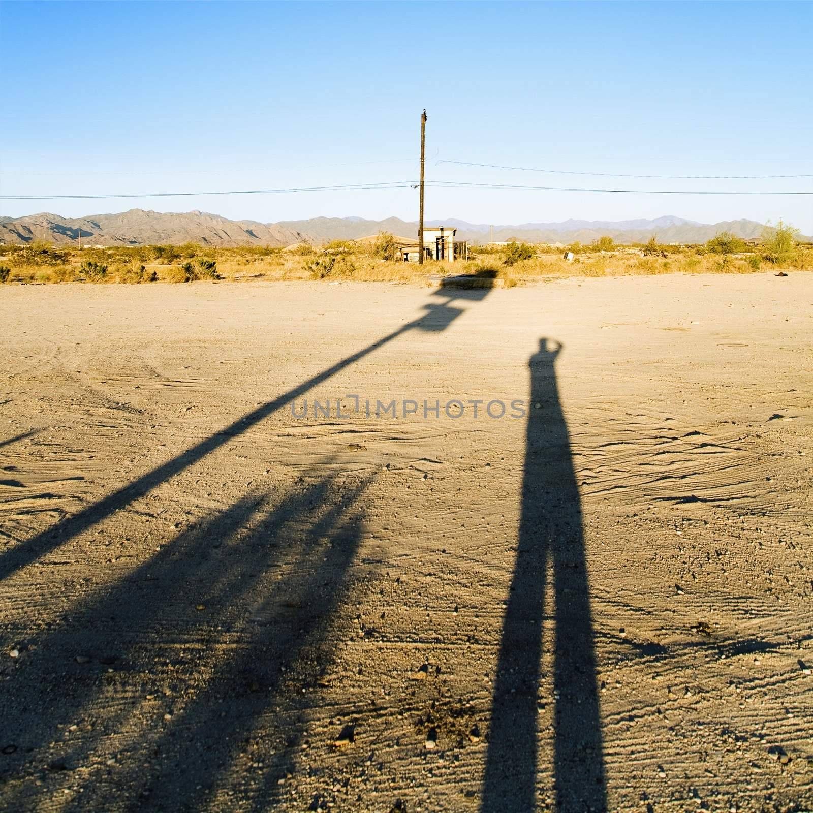 Landscape with long shadow of man and desert in the background.