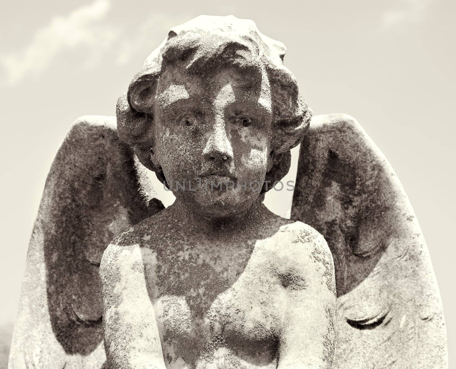 Sepia statue of cherub in graveyard looking at viewer.