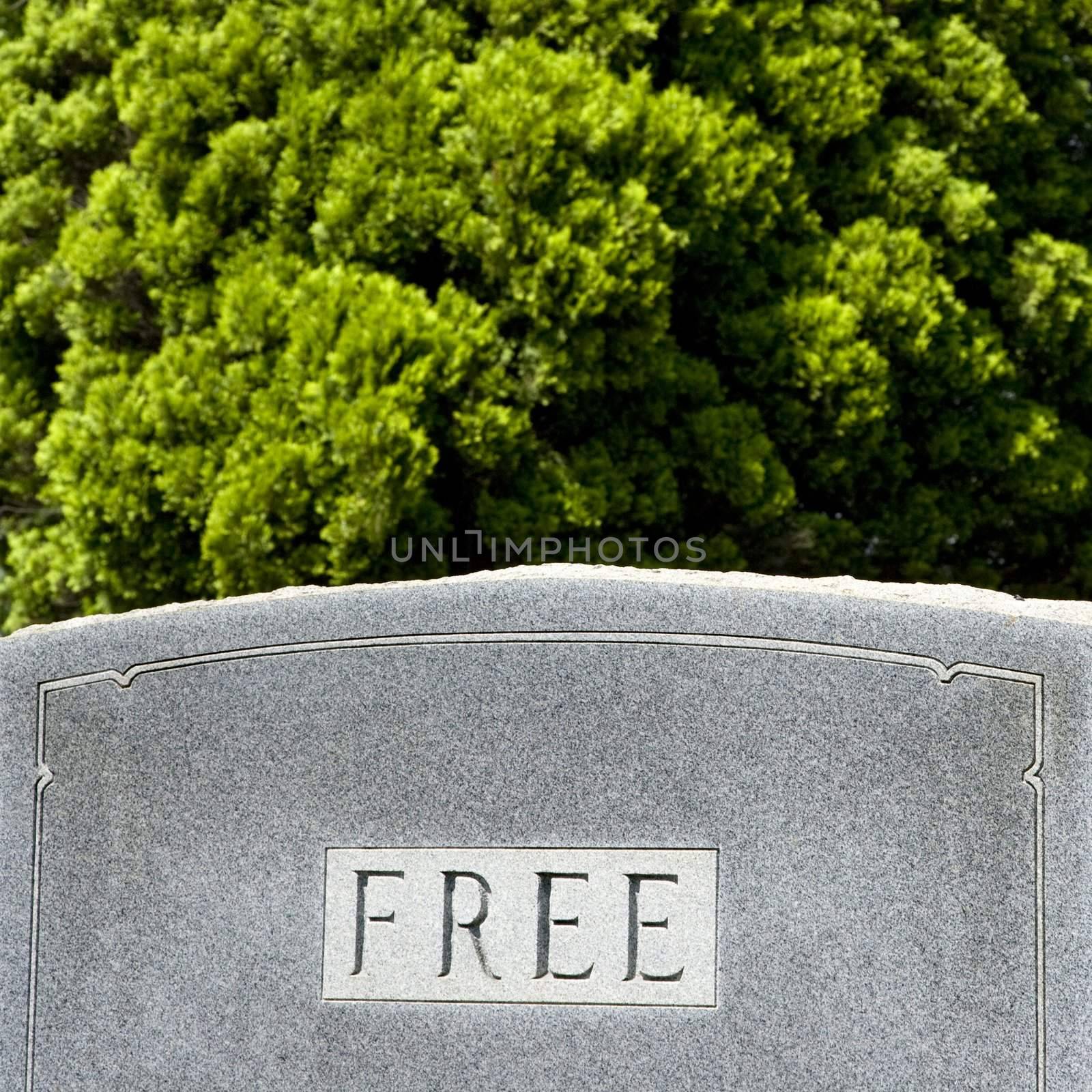Gravestone with word "free" by iofoto