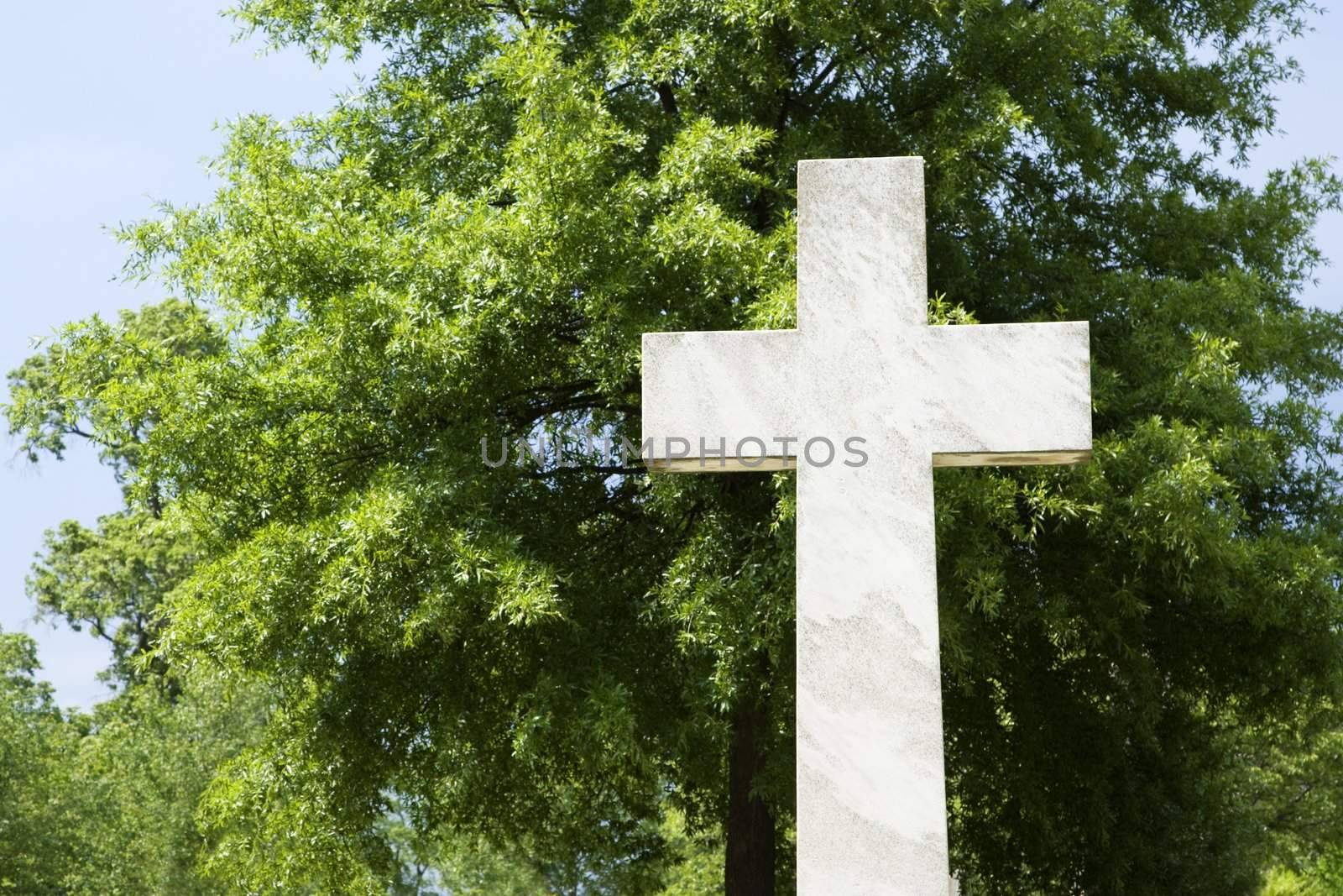 Cross in graveyard again green tree.