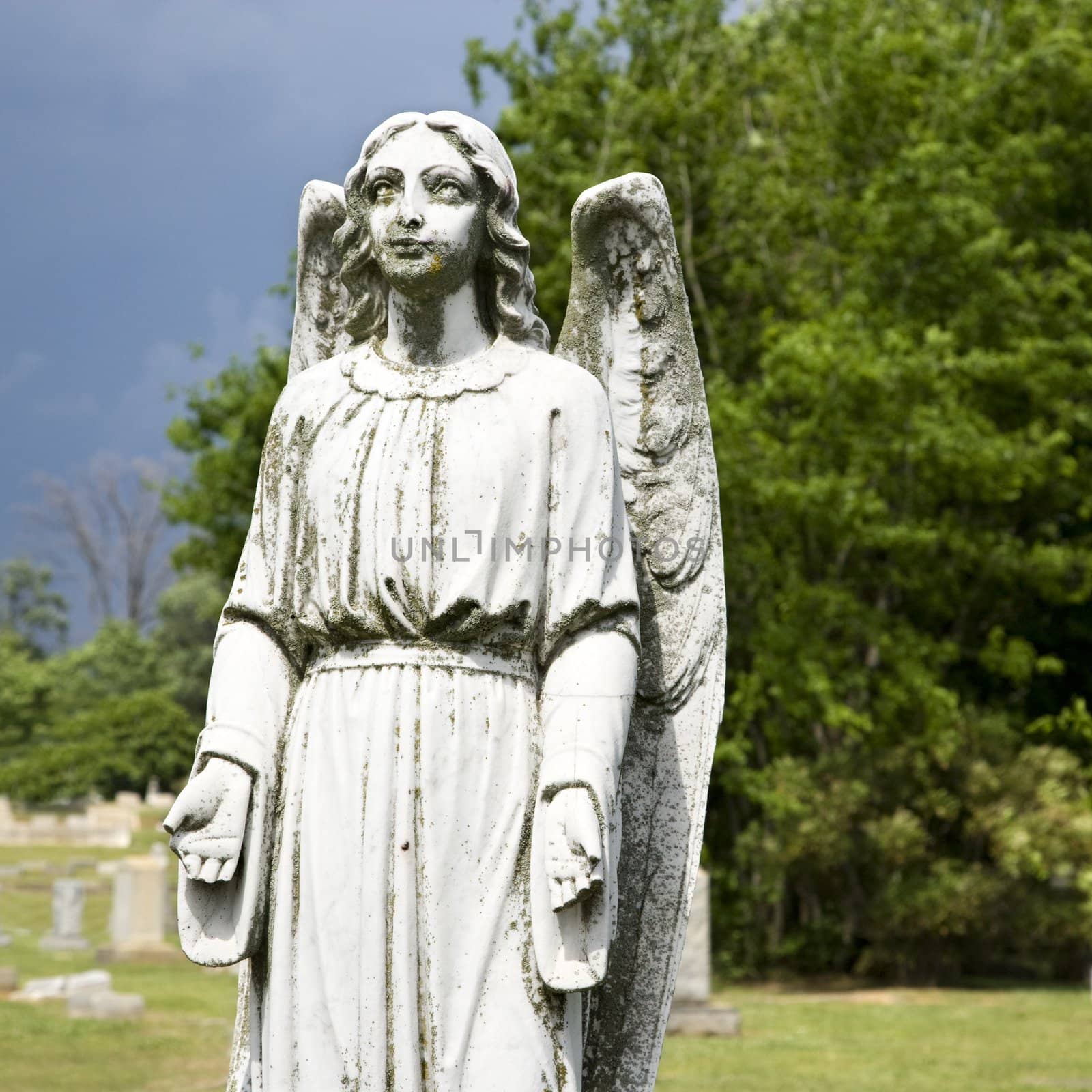 Guardian Angel statue in graveyard.